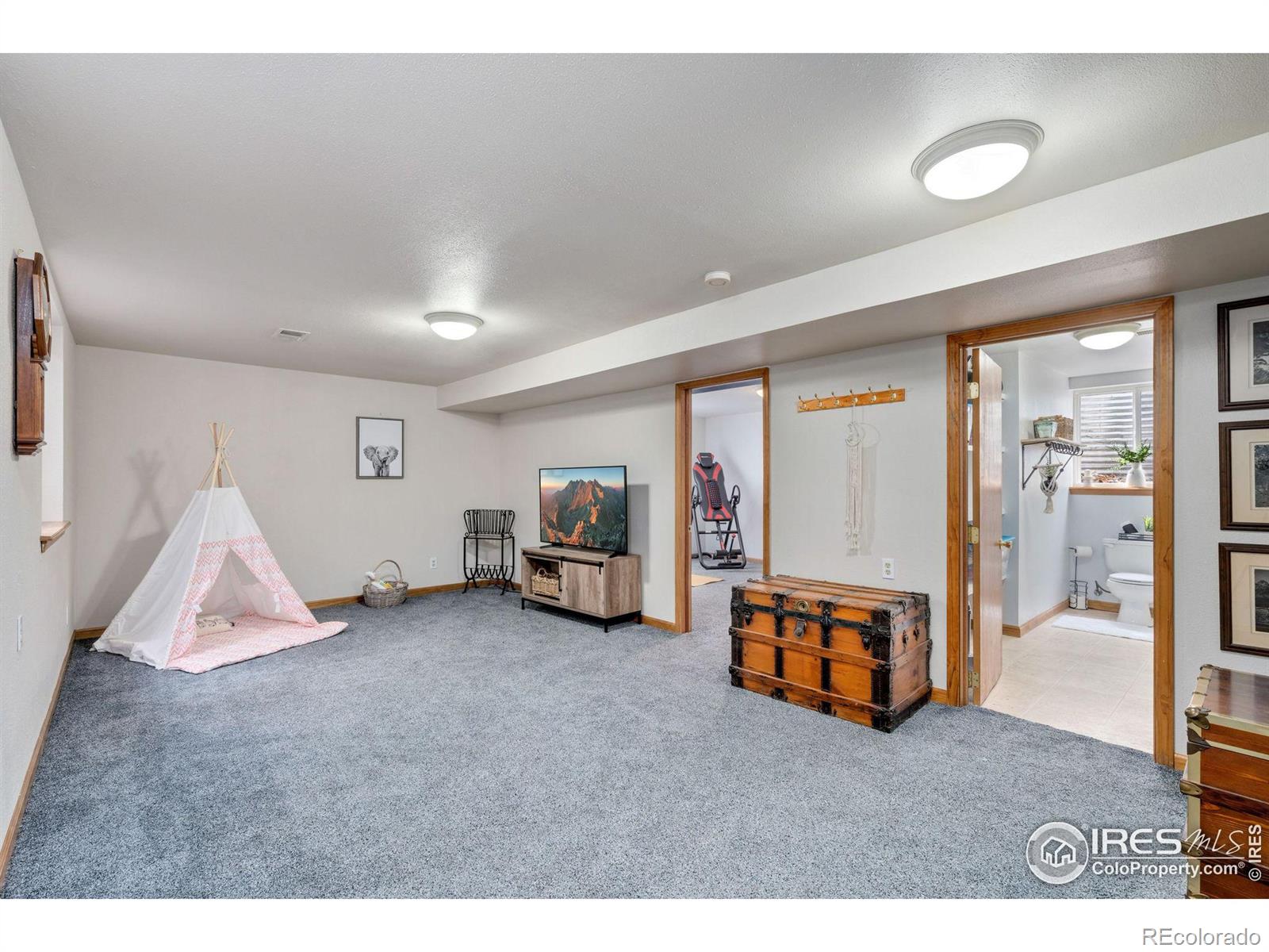 MLS Image #21 for 121  oak street,windsor, Colorado