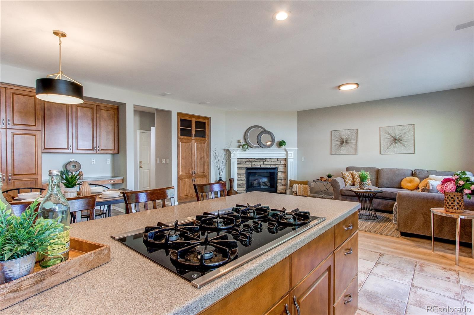 MLS Image #12 for 4661  briarglen lane,highlands ranch, Colorado