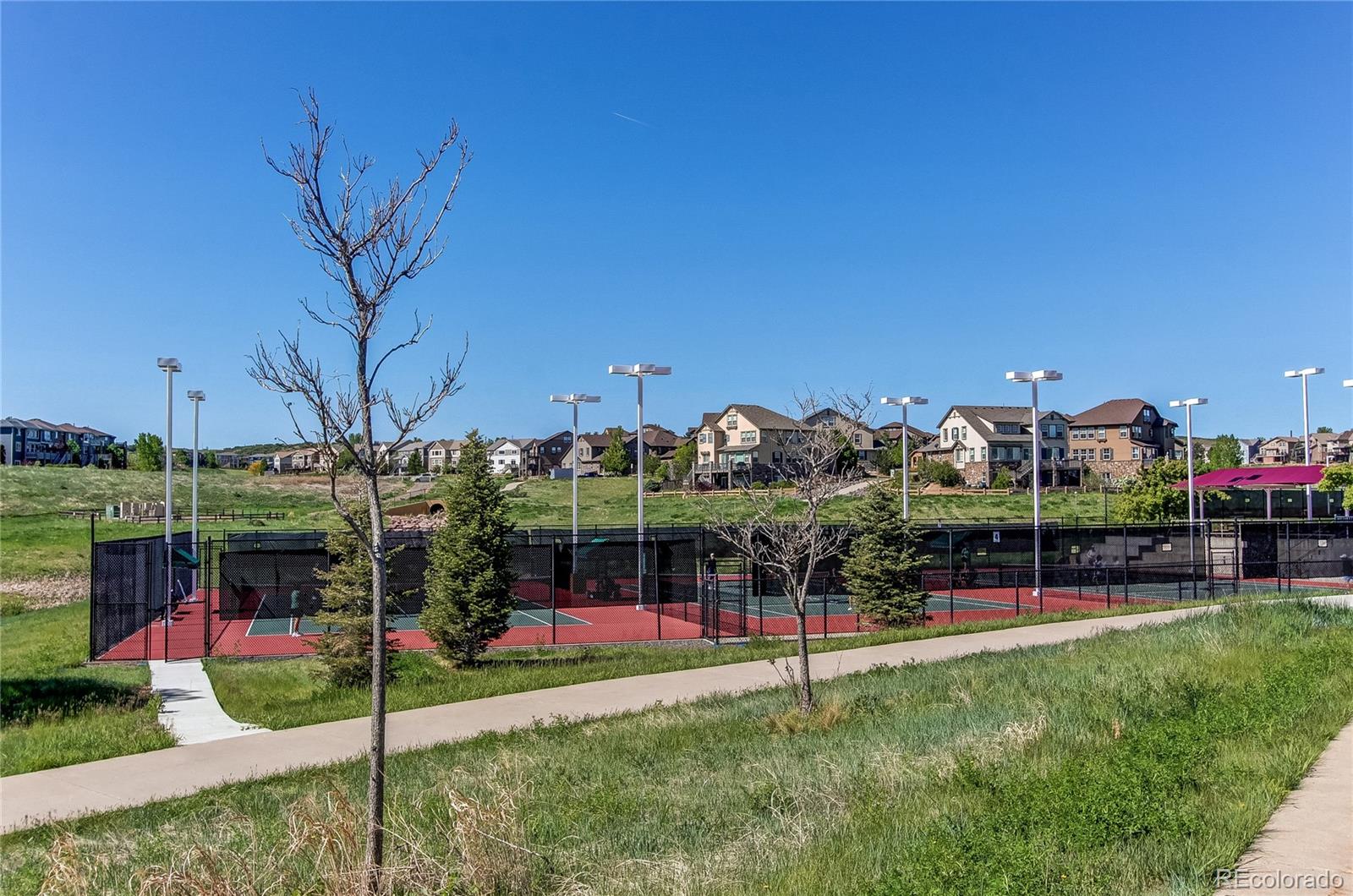 MLS Image #48 for 4661  briarglen lane,highlands ranch, Colorado