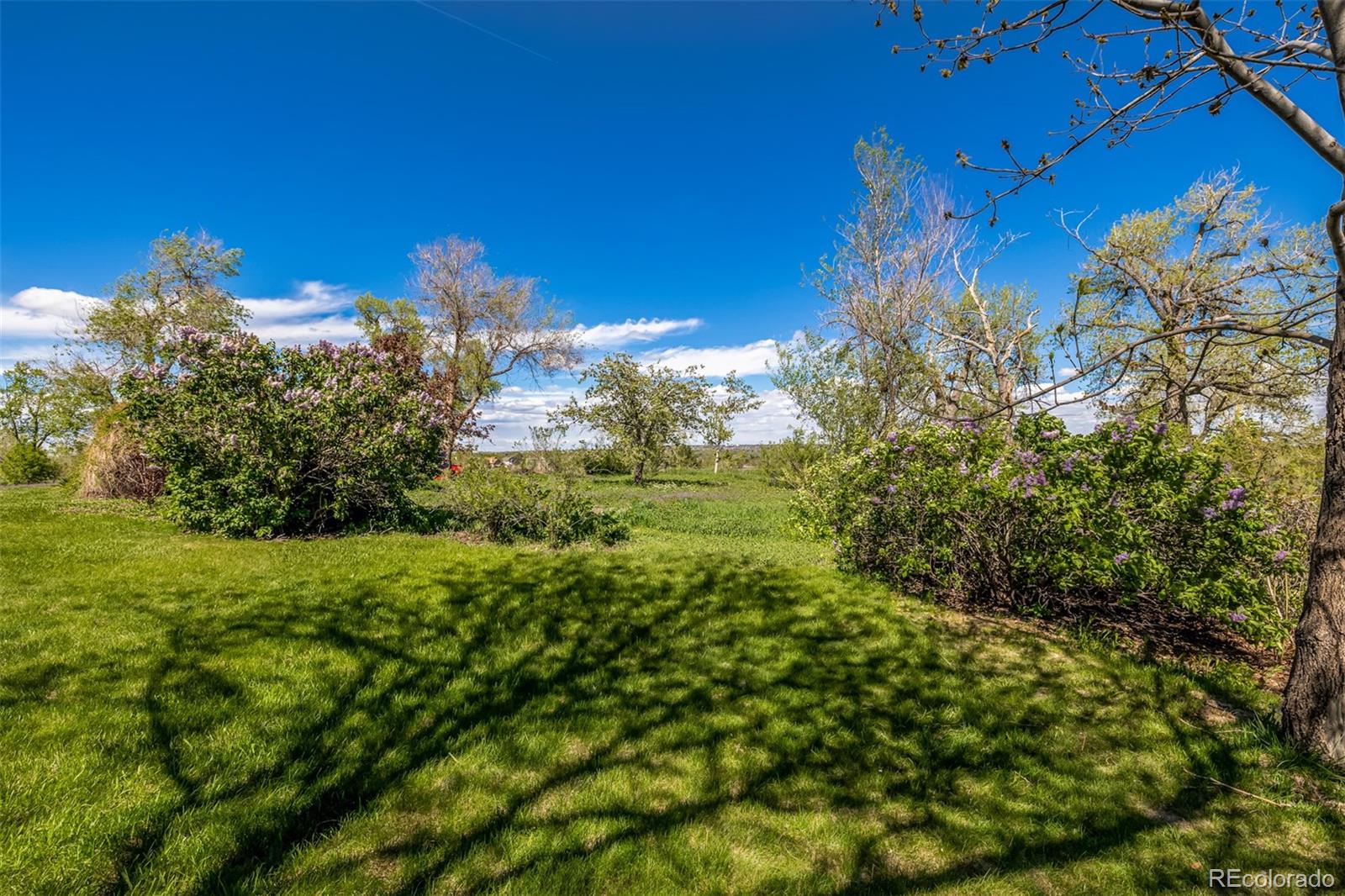 MLS Image #40 for 8501 w 74th avenue,arvada, Colorado