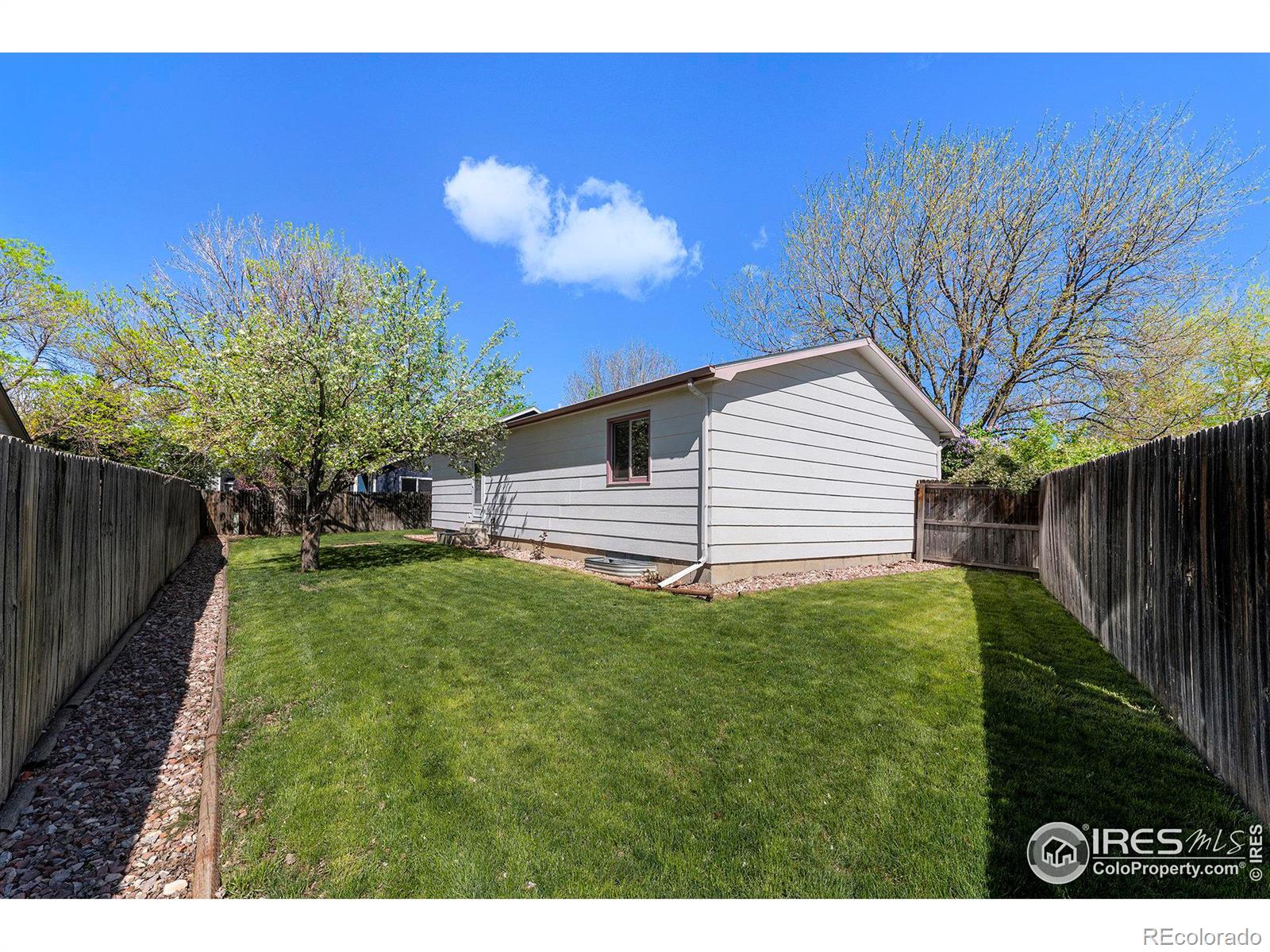 MLS Image #14 for 520  driftwood place,berthoud, Colorado