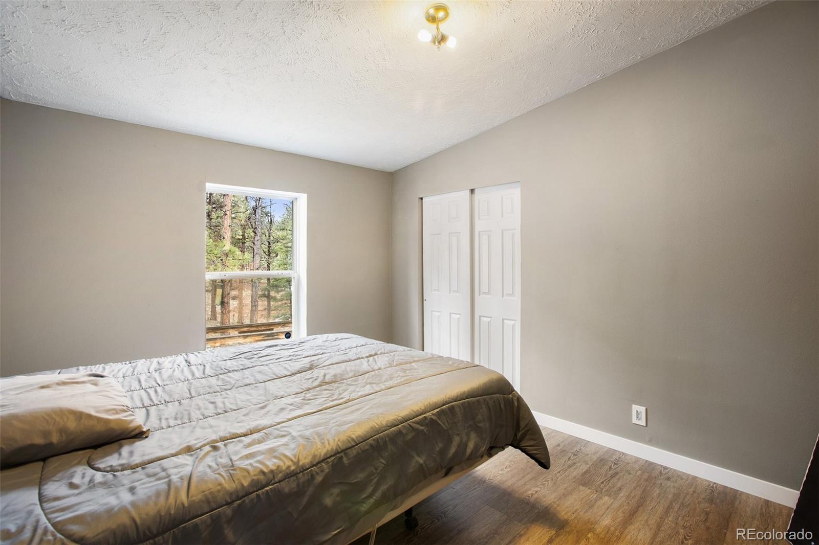 MLS Image #16 for 415  forest glen trail,florissant, Colorado