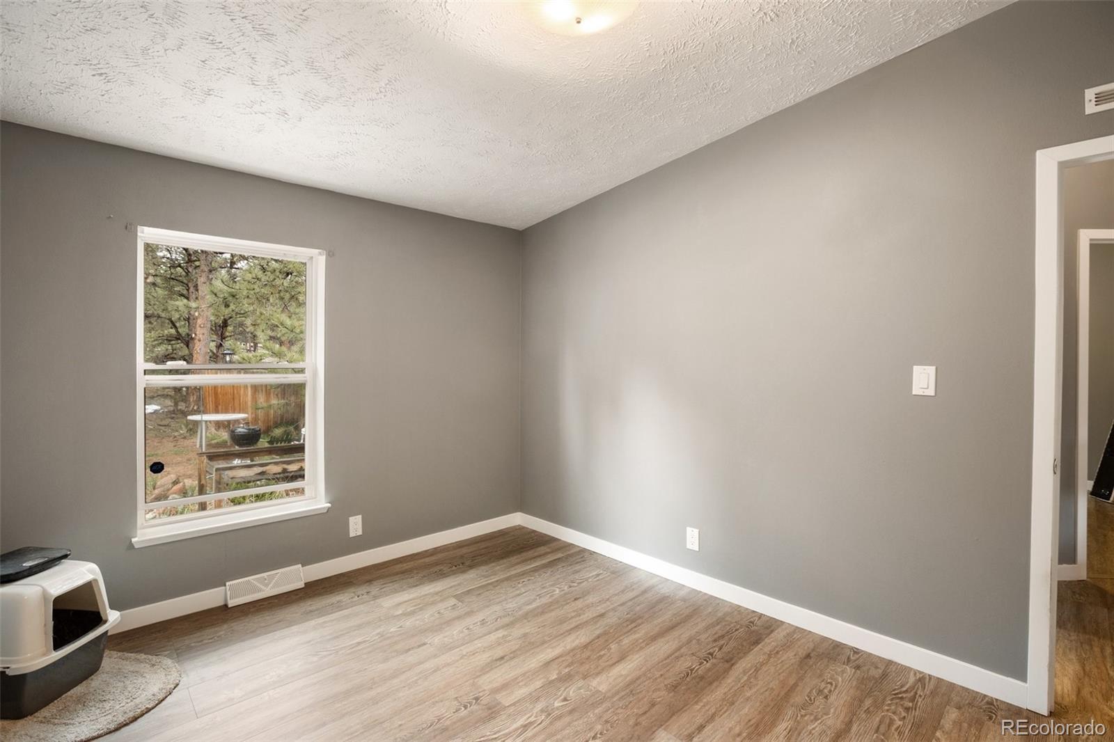 MLS Image #20 for 415  forest glen trail,florissant, Colorado