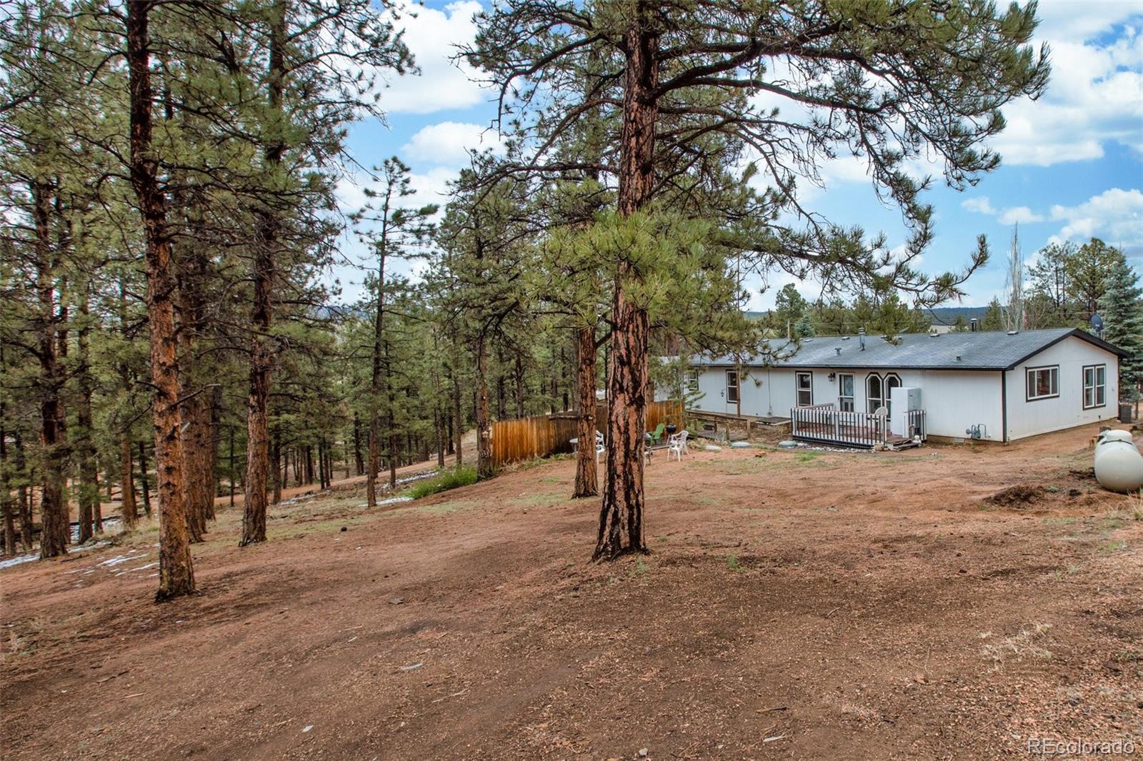 MLS Image #33 for 415  forest glen trail,florissant, Colorado