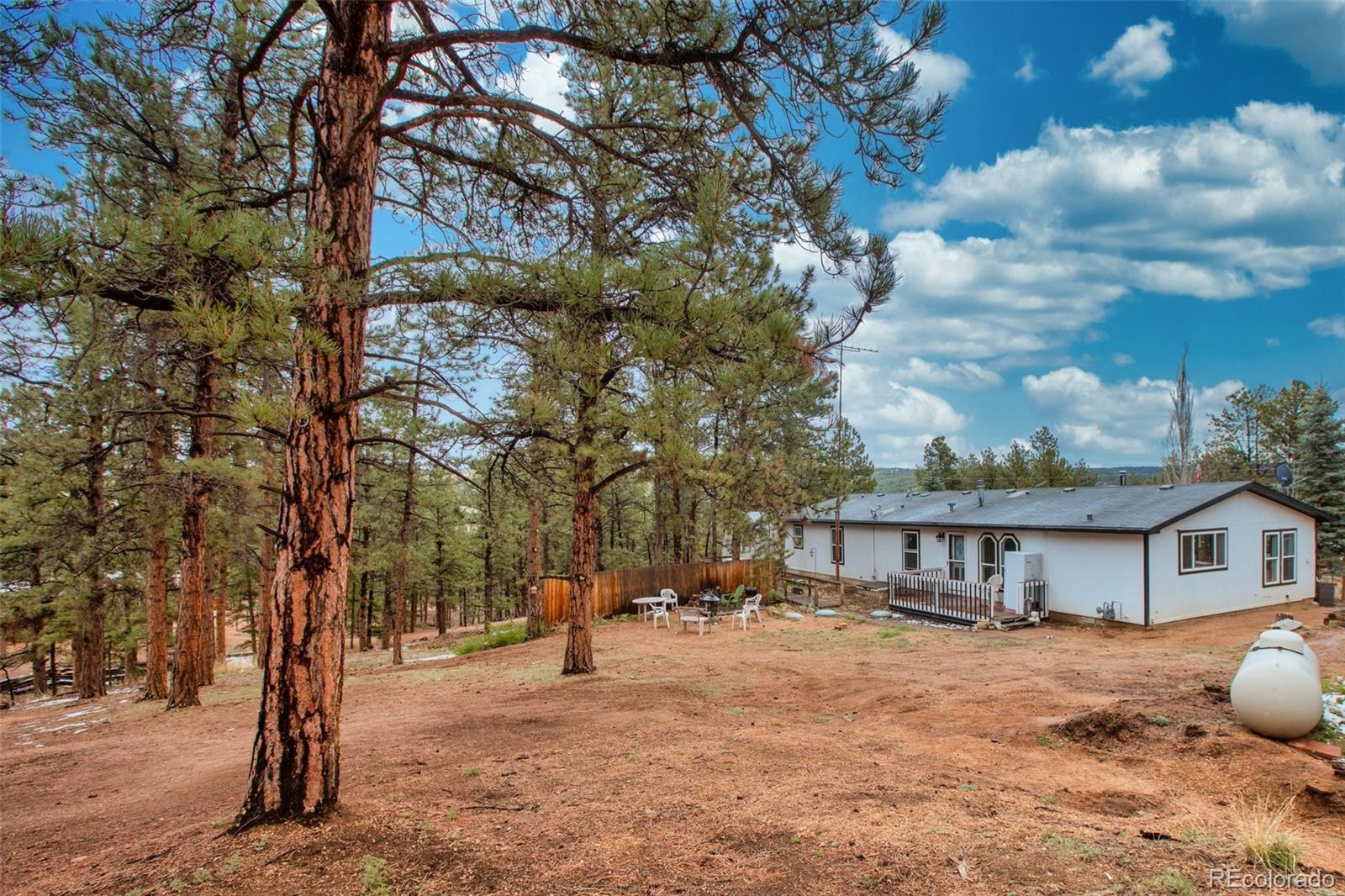 MLS Image #34 for 415  forest glen trail,florissant, Colorado