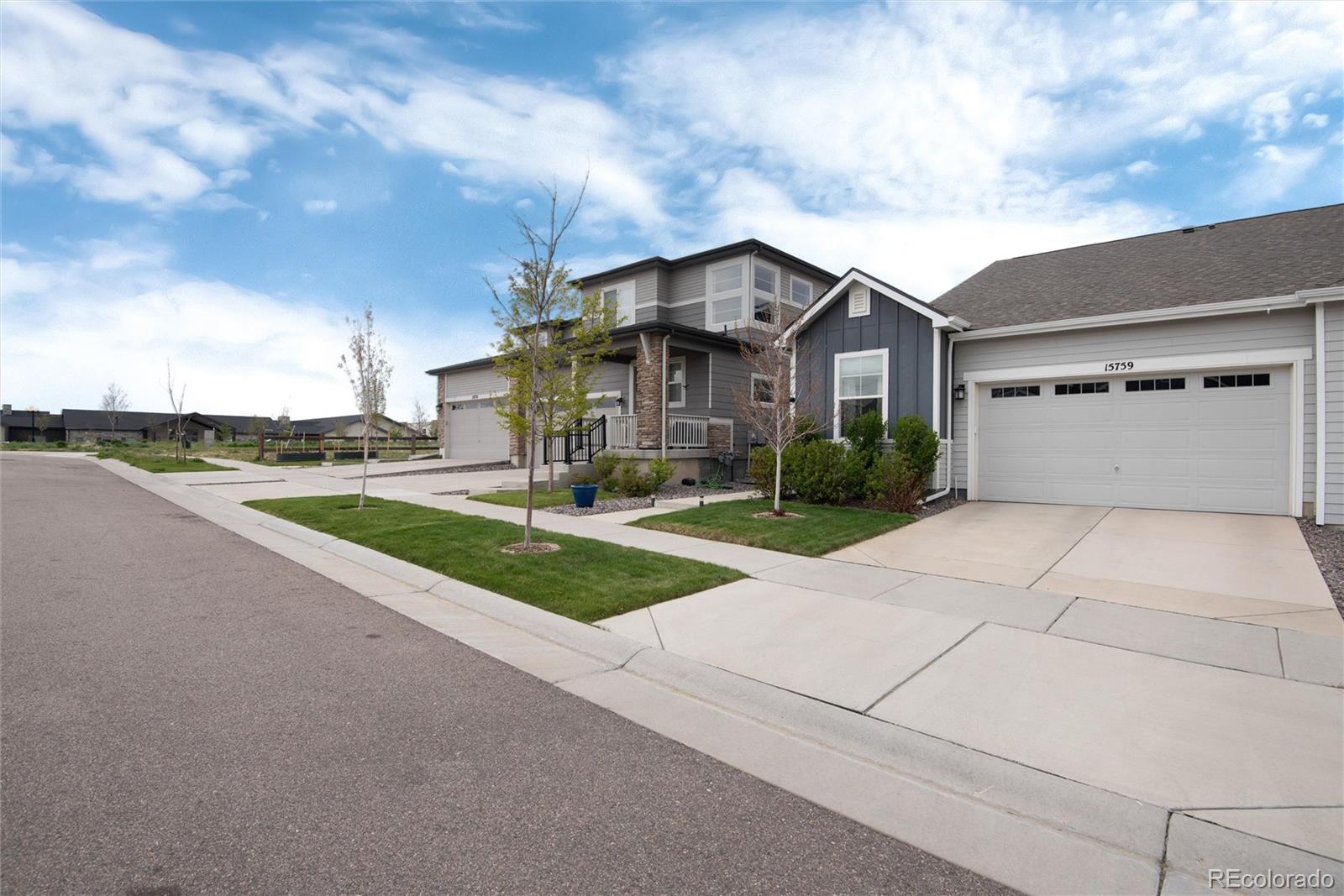 CMA Image for 8425  blackgum street,Parker, Colorado