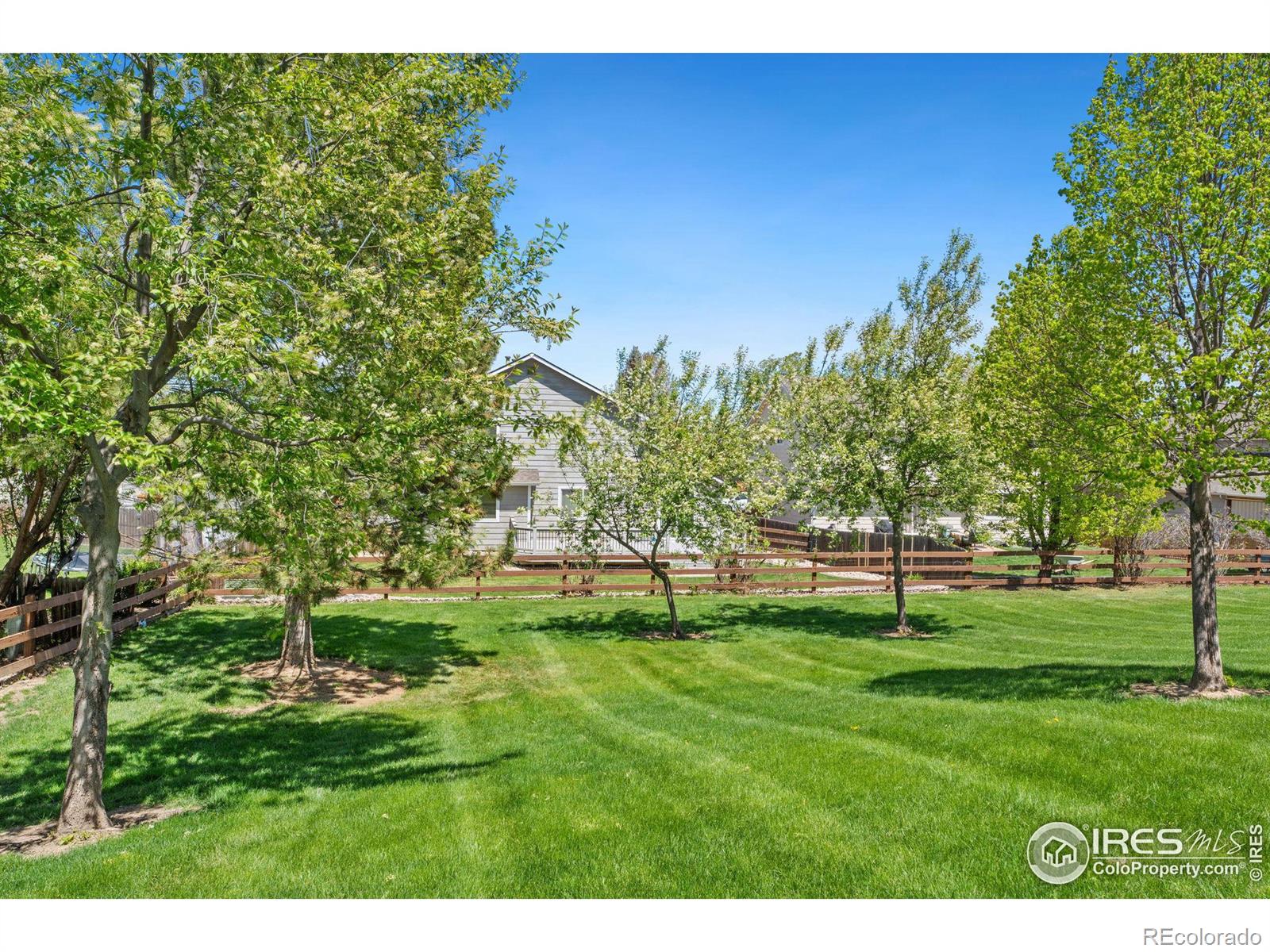MLS Image #6 for 621  jansen drive,fort collins, Colorado