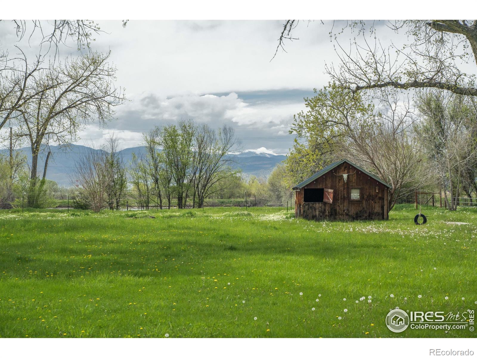MLS Image #32 for 10587 n 95th street,longmont, Colorado