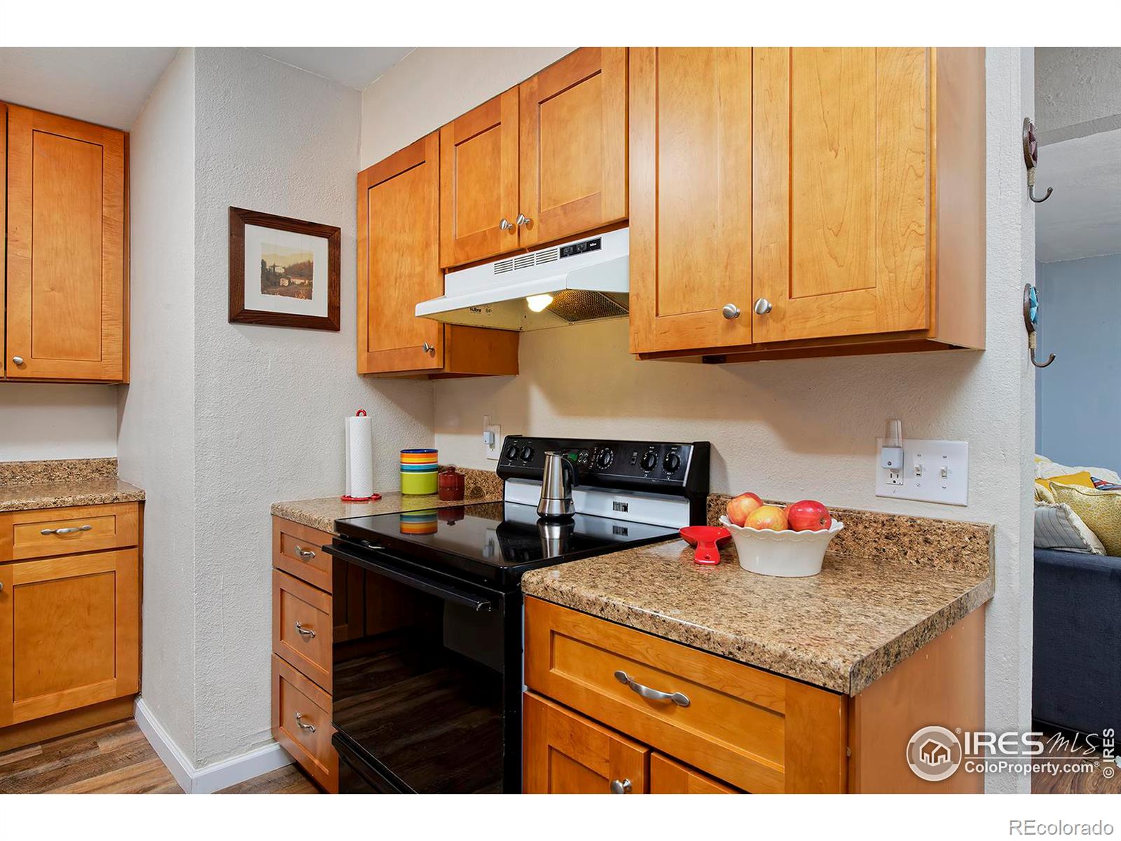 MLS Image #13 for 16359 w 10th avenue,golden, Colorado