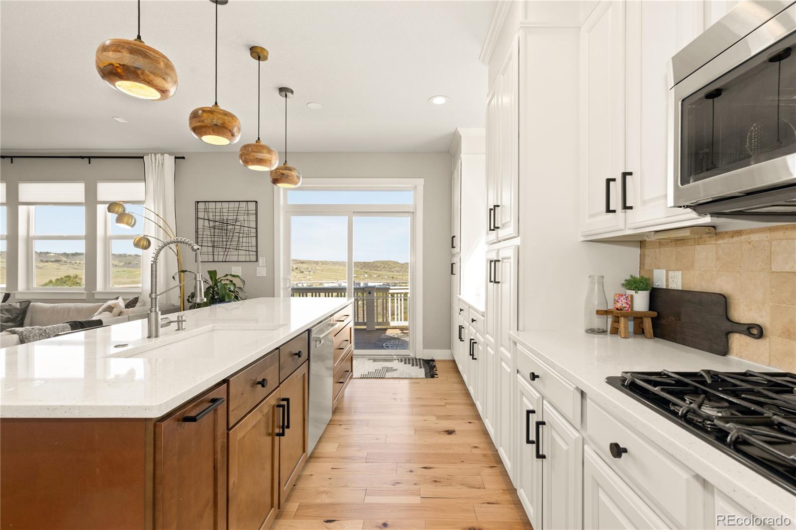 MLS Image #11 for 497  scottish place,castle rock, Colorado