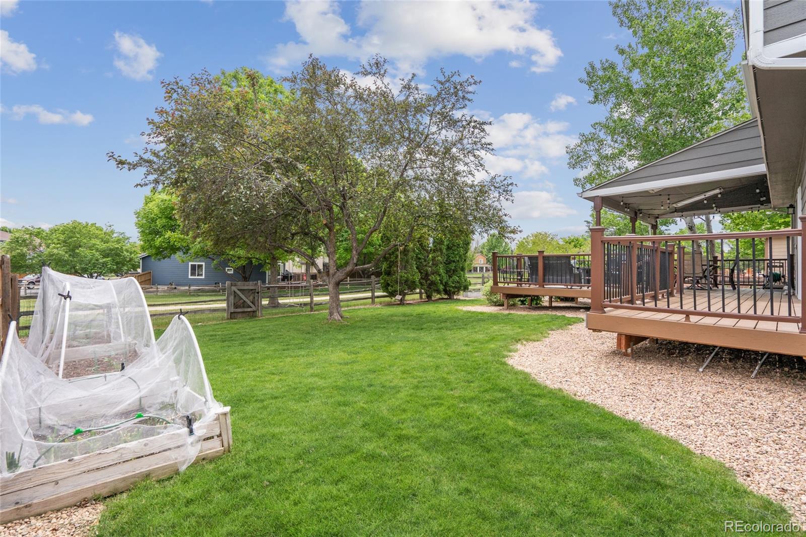 MLS Image #36 for 3338  copper avenue,broomfield, Colorado