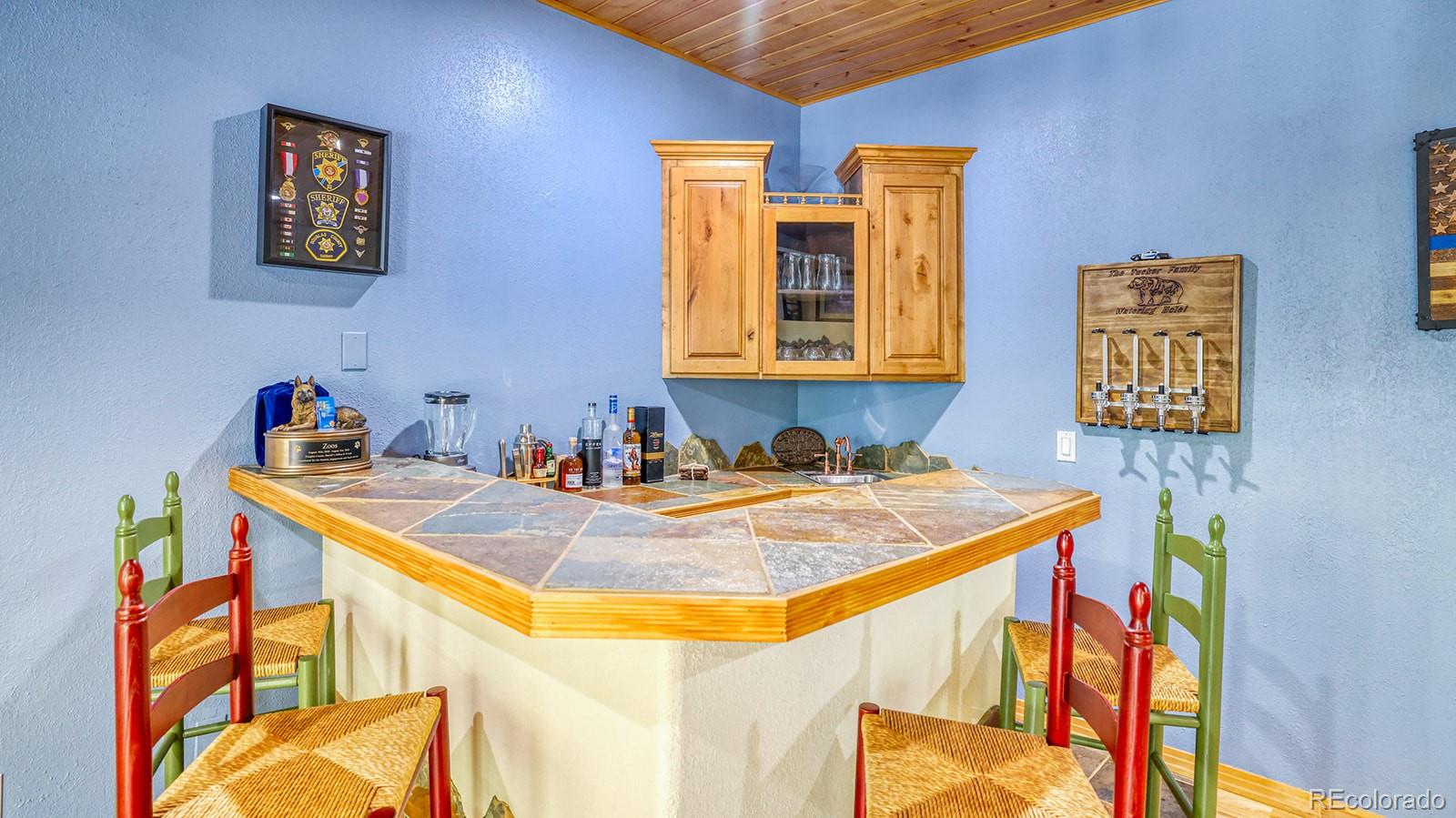 MLS Image #21 for 25248  red cloud drive,conifer, Colorado