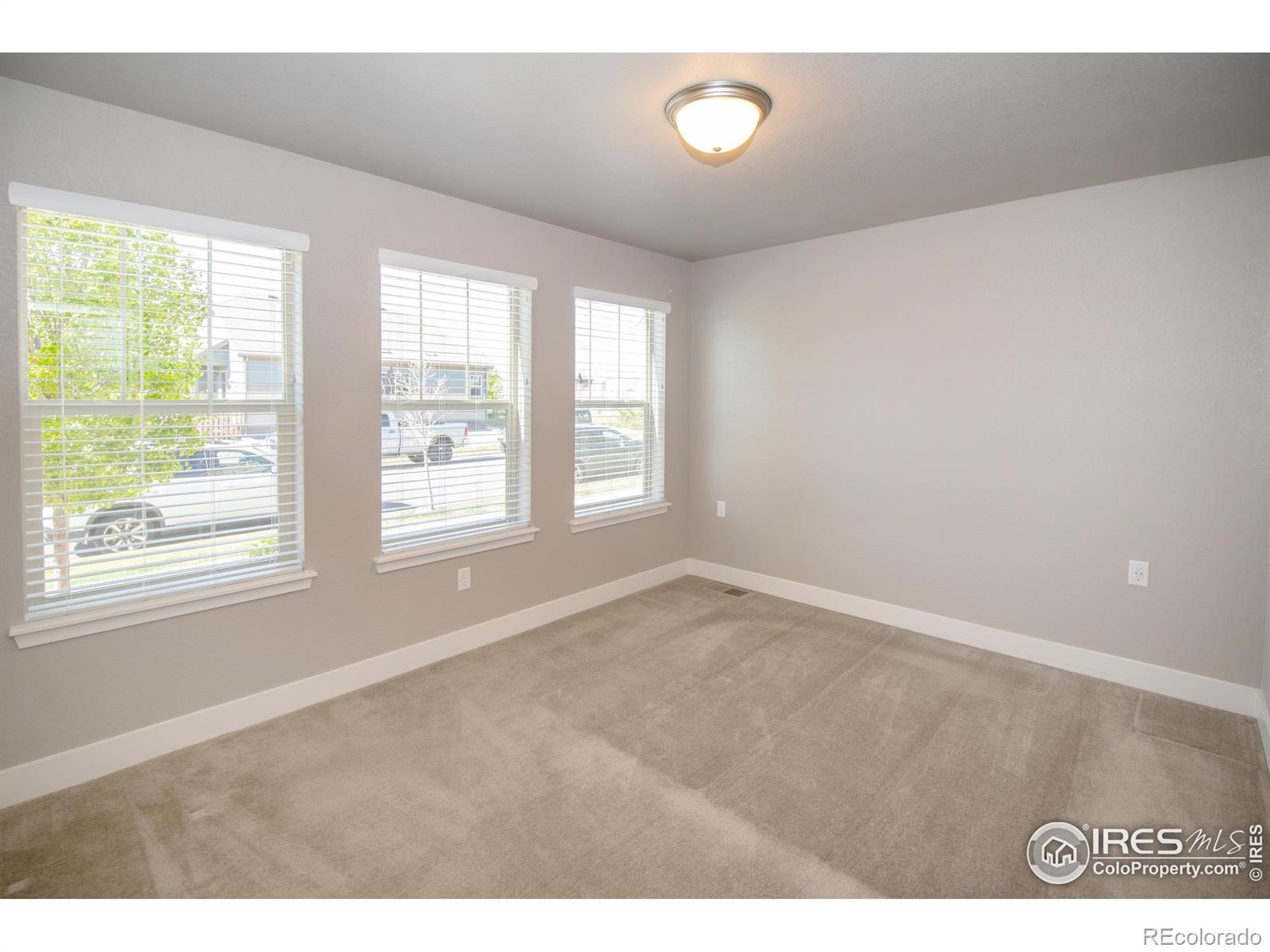 MLS Image #10 for 1204  hummingbird circle,longmont, Colorado