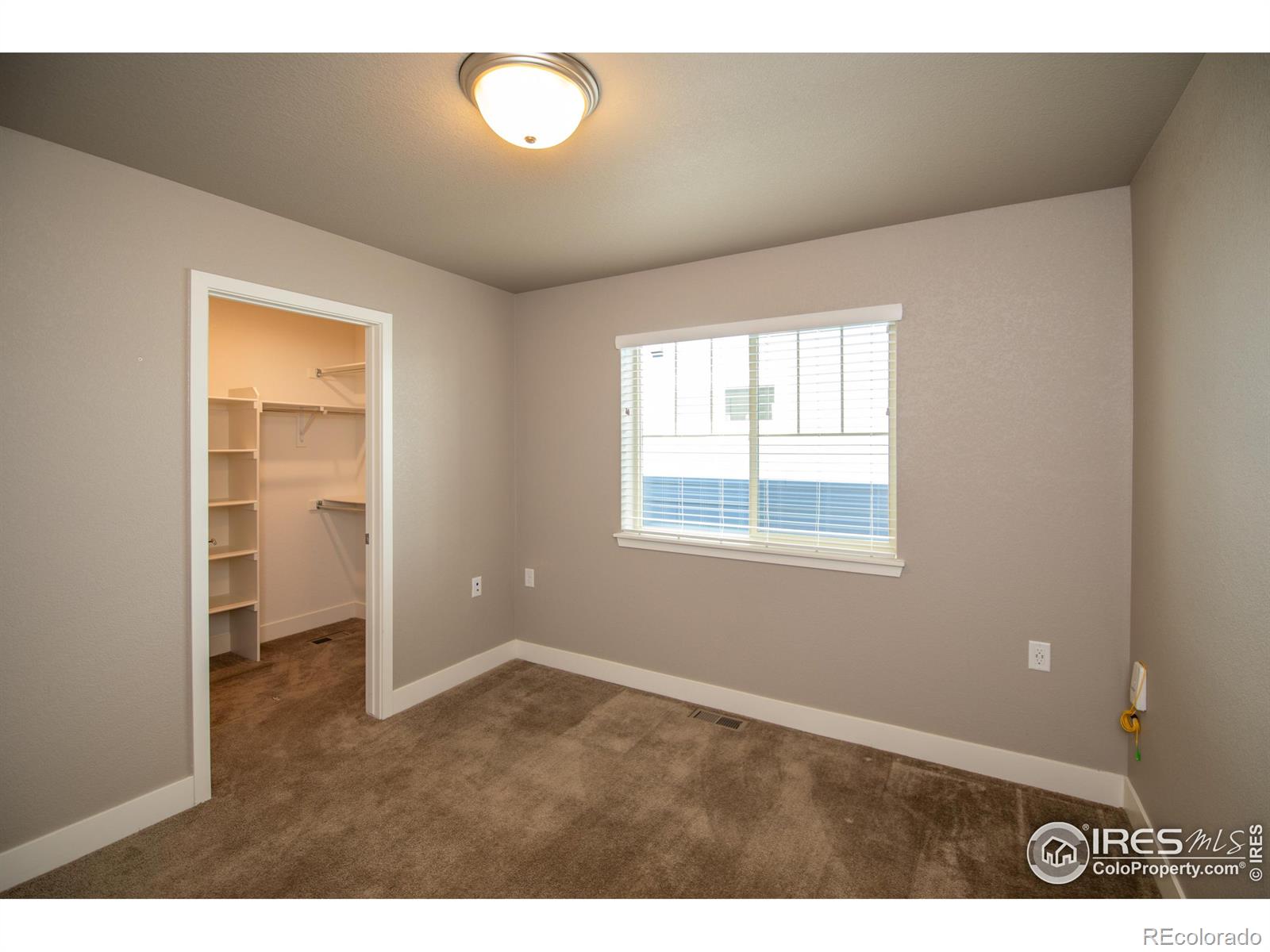 MLS Image #13 for 1204  hummingbird circle,longmont, Colorado