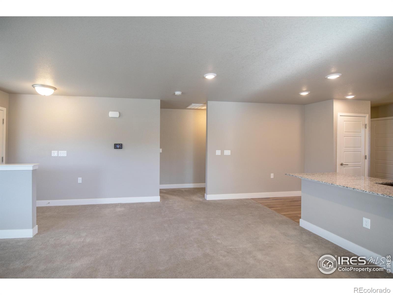 MLS Image #8 for 1204  hummingbird circle,longmont, Colorado