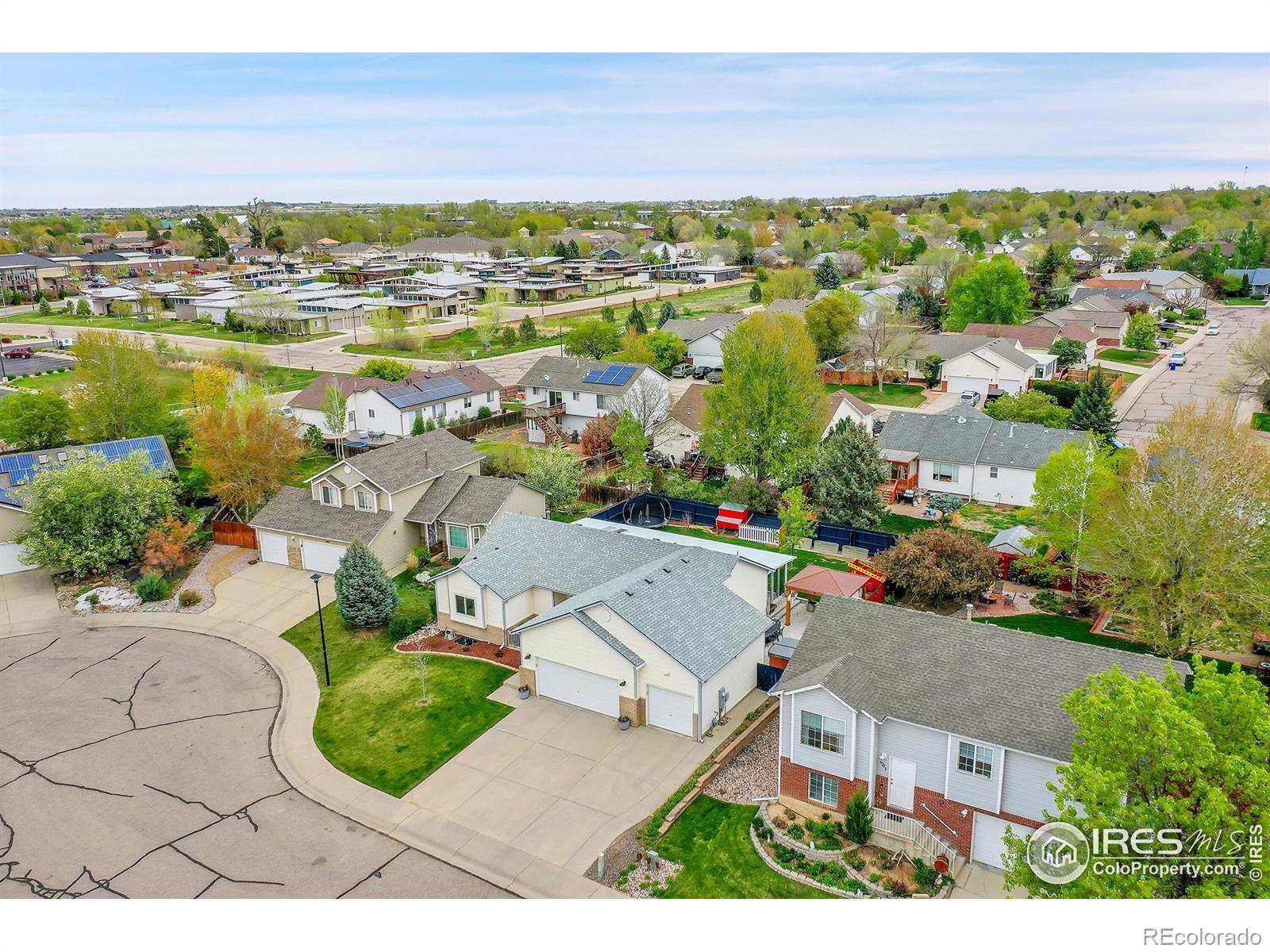 Report Image for 405  Norwood Court,Windsor, Colorado