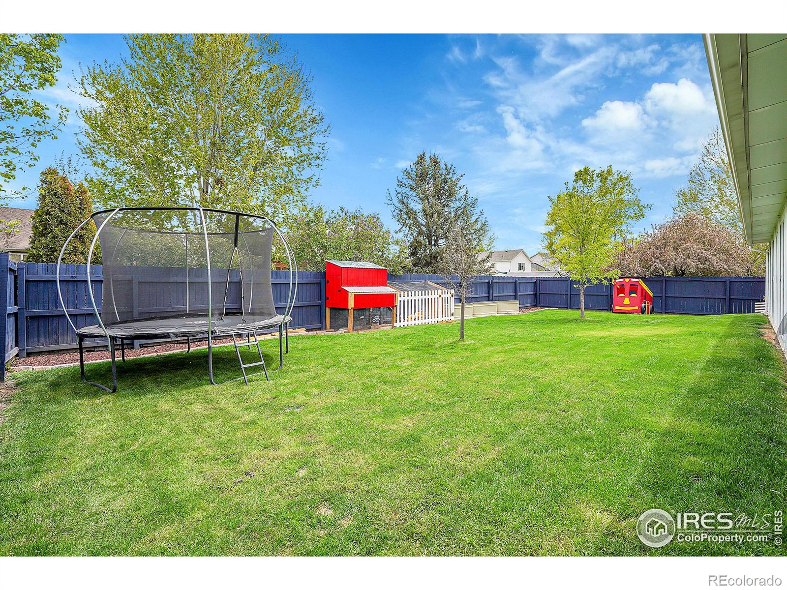 MLS Image #24 for 405  norwood court,windsor, Colorado