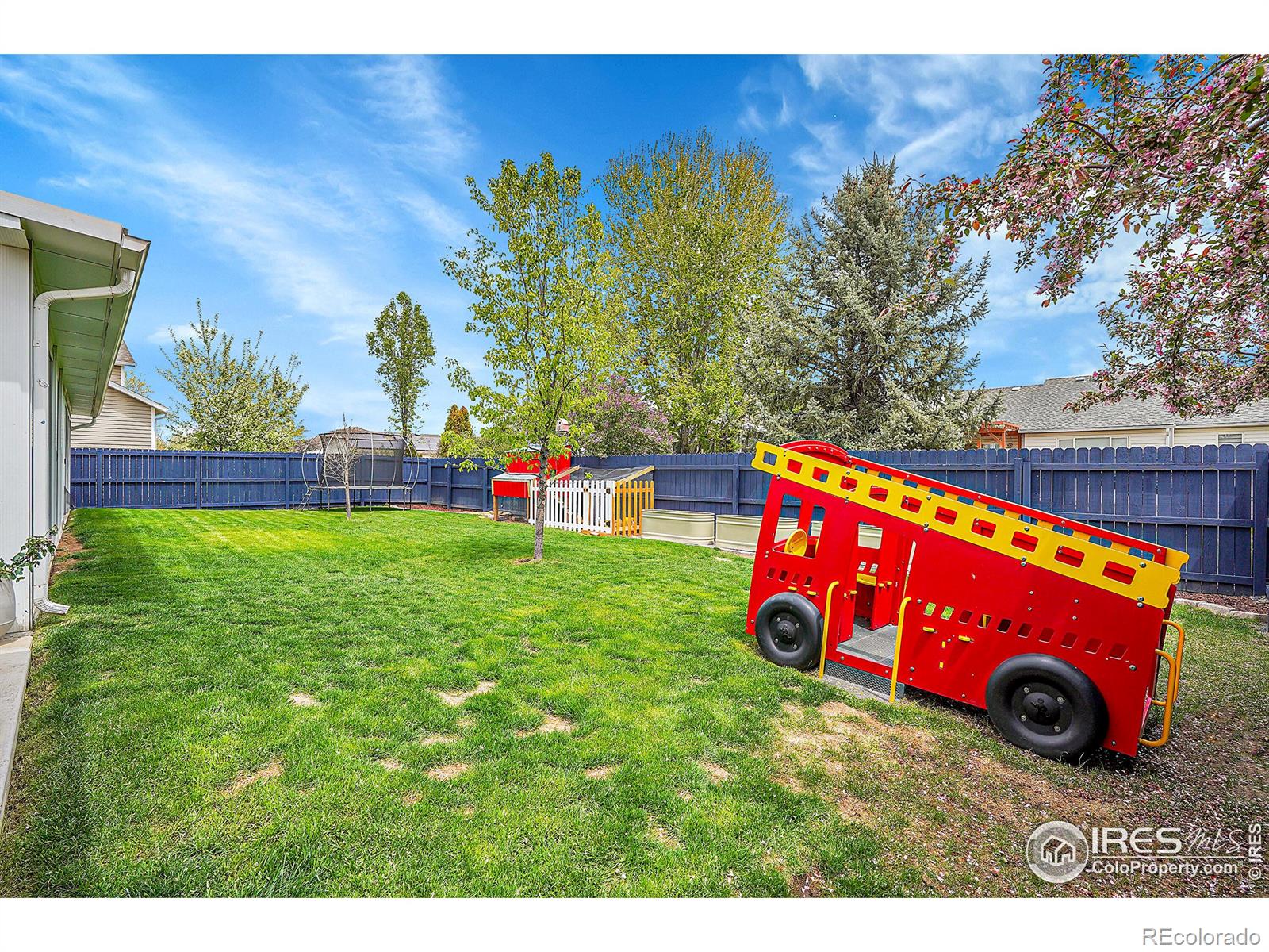 MLS Image #26 for 405  norwood court,windsor, Colorado