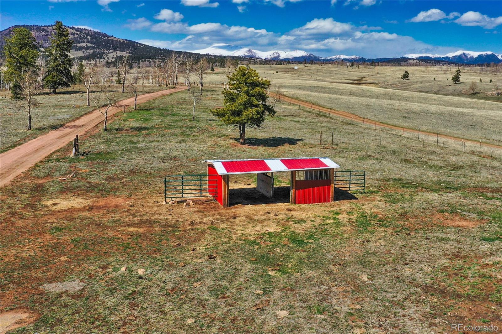 MLS Image #10 for 2631  county road 86 ,victor, Colorado