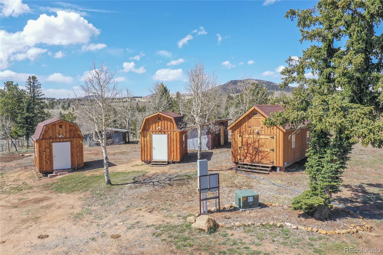 MLS Image #9 for 2631  county road 86 ,victor, Colorado