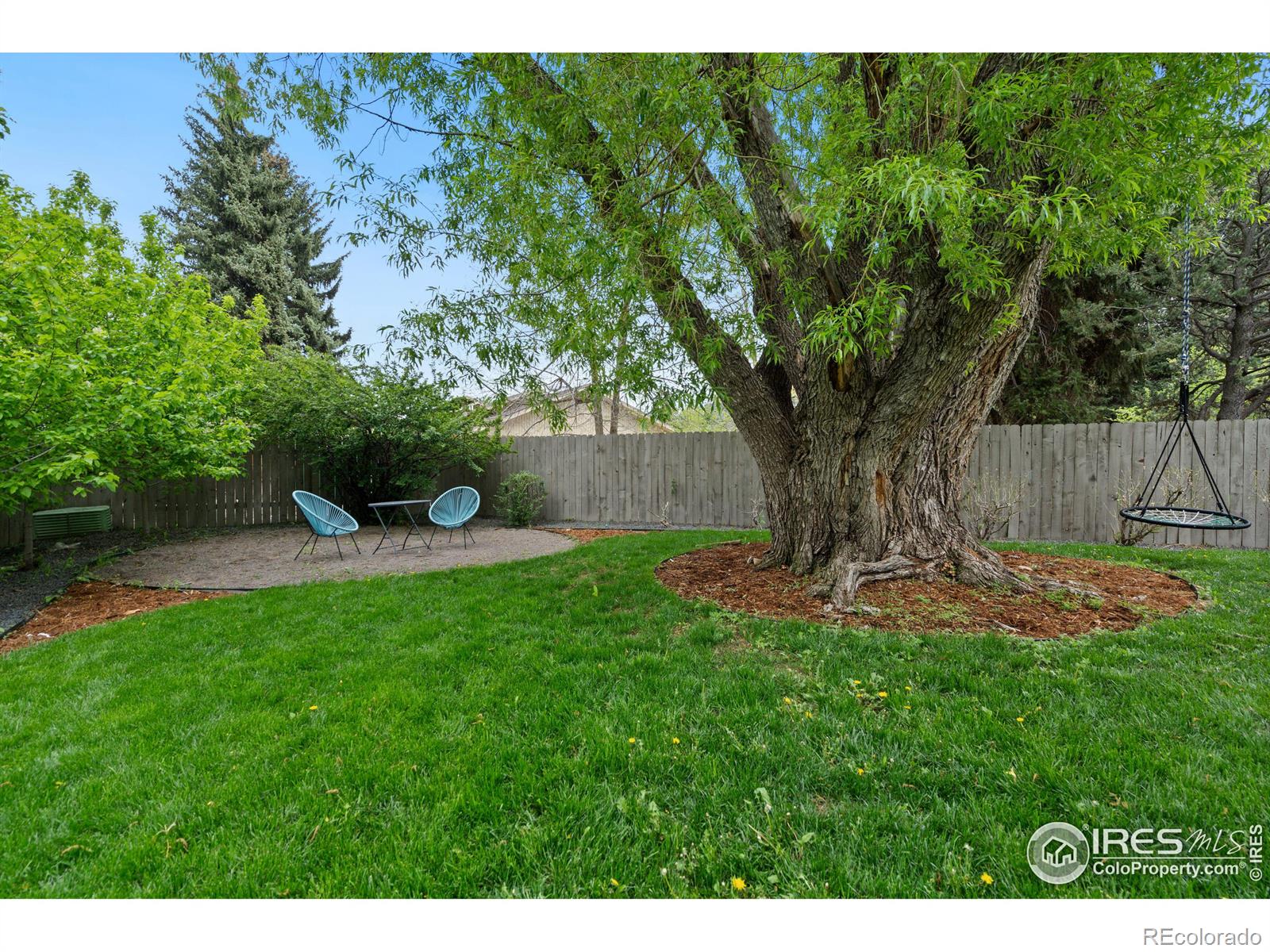 MLS Image #33 for 1129  robertson street,fort collins, Colorado