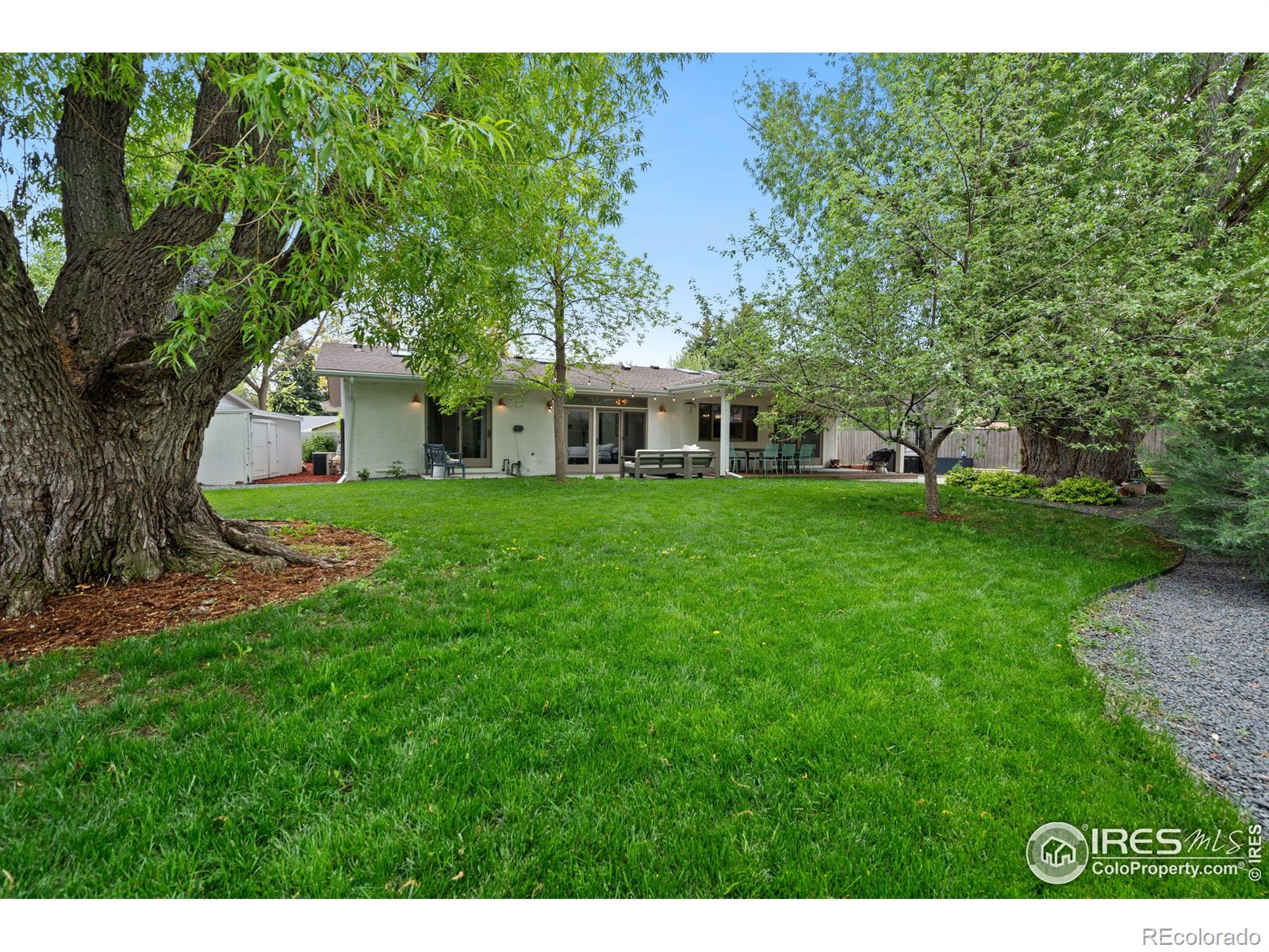 MLS Image #34 for 1129  robertson street,fort collins, Colorado