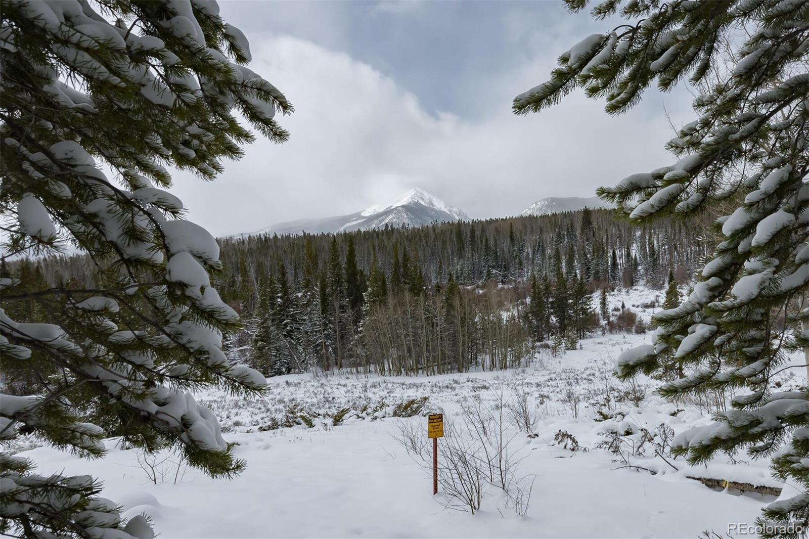 MLS Image #24 for 95100  ryan gulch road,silverthorne, Colorado