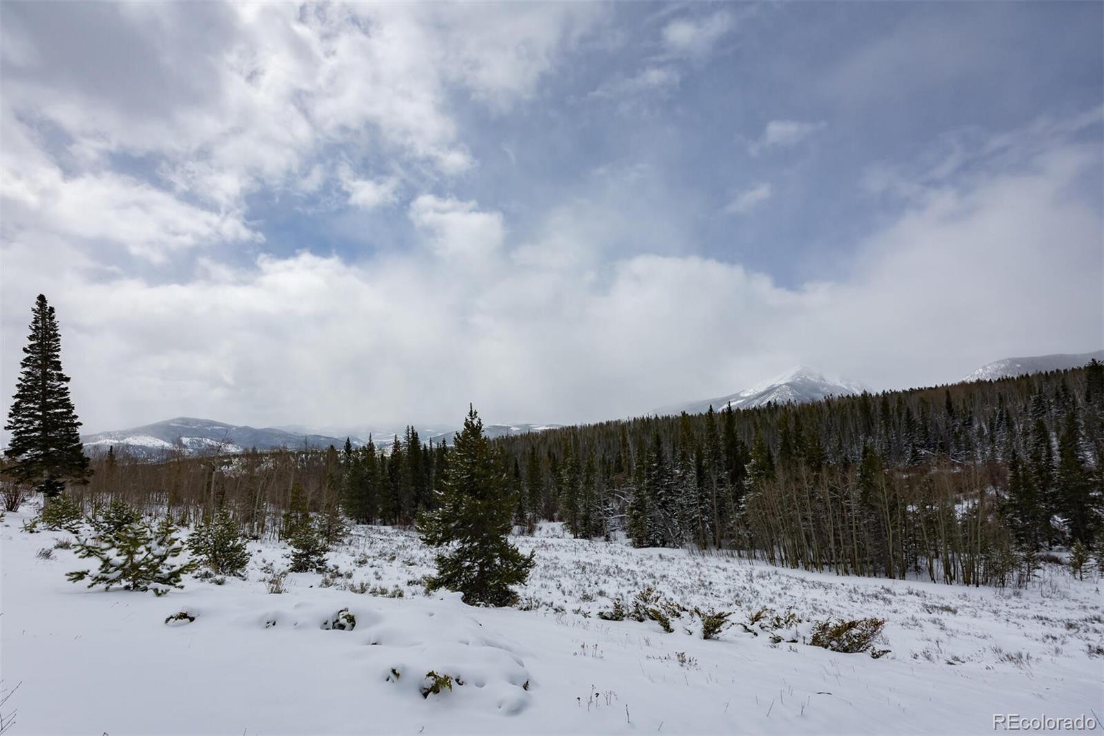 MLS Image #26 for 95100  ryan gulch road,silverthorne, Colorado