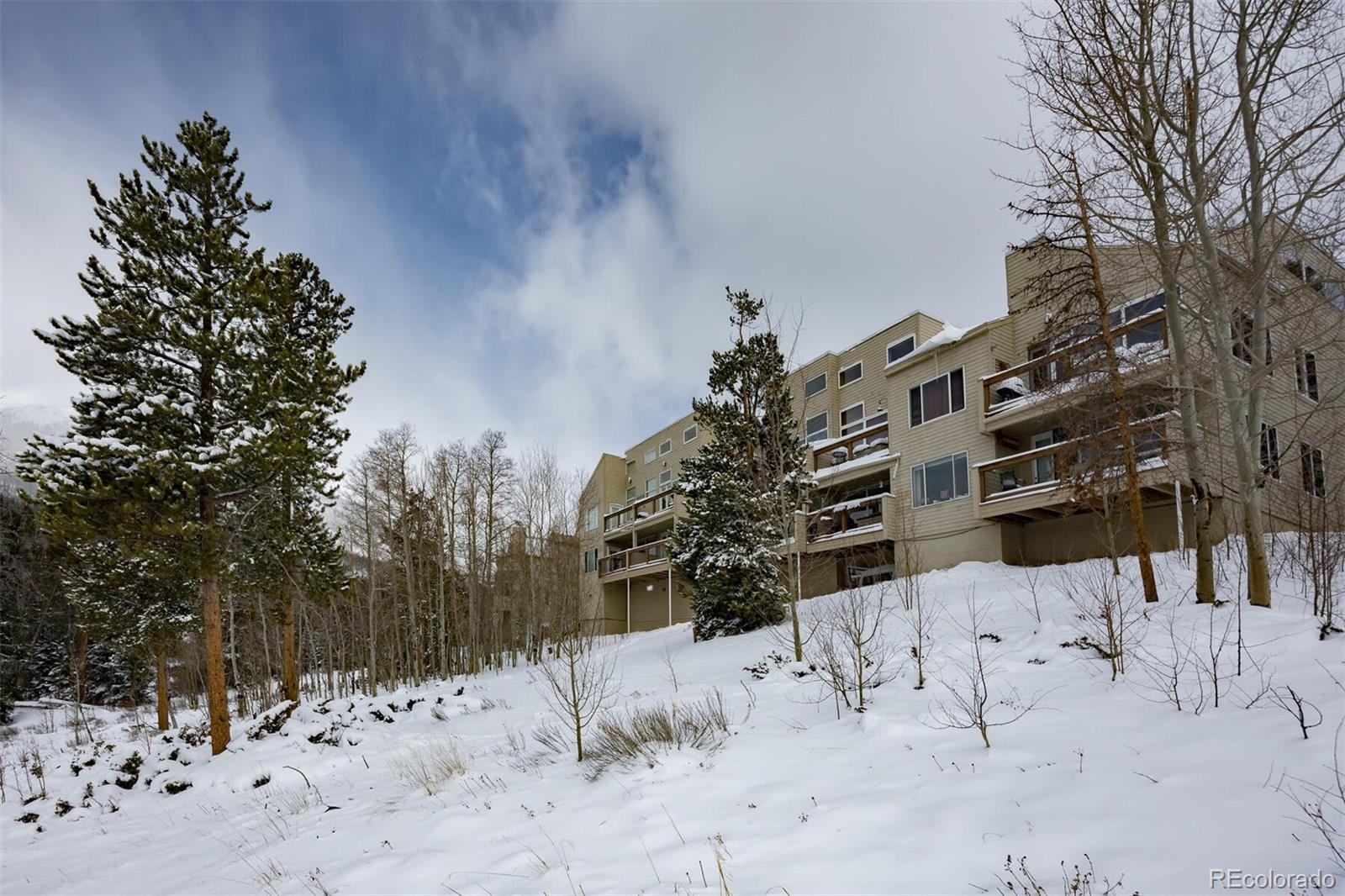 MLS Image #27 for 95100  ryan gulch road,silverthorne, Colorado