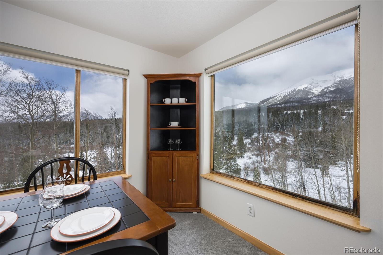 MLS Image #3 for 95100  ryan gulch road,silverthorne, Colorado