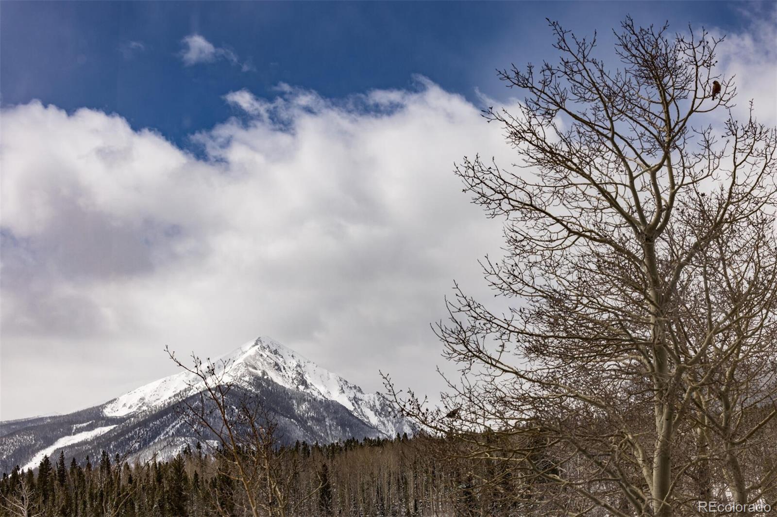 MLS Image #30 for 95100  ryan gulch road,silverthorne, Colorado