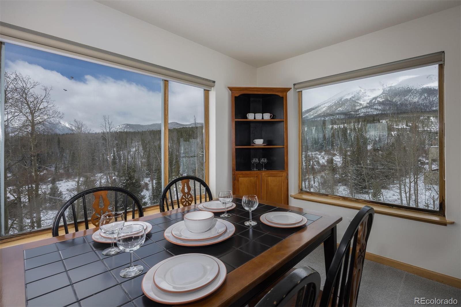 MLS Image #4 for 95100  ryan gulch road,silverthorne, Colorado