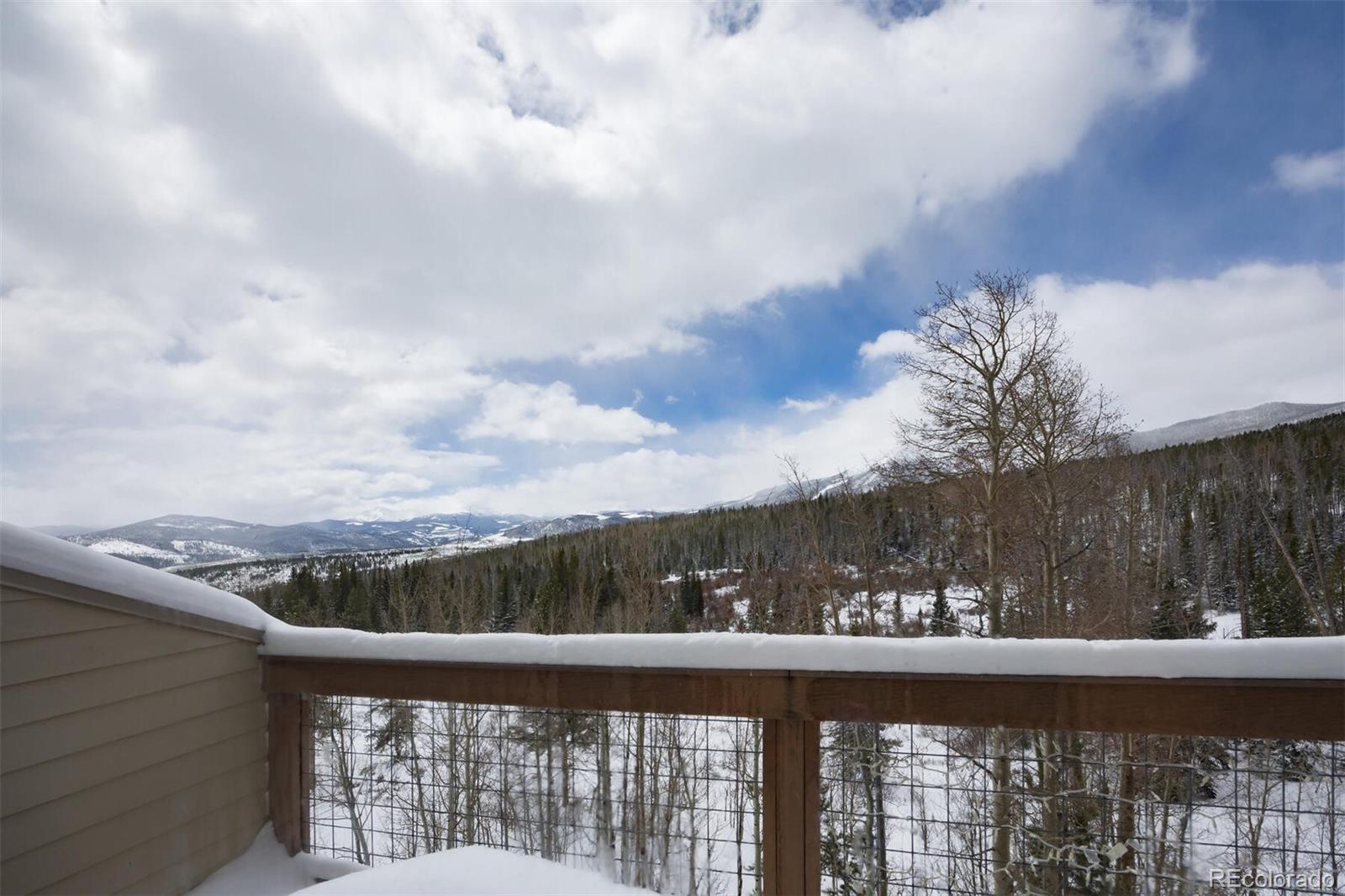 MLS Image #6 for 95100  ryan gulch road,silverthorne, Colorado