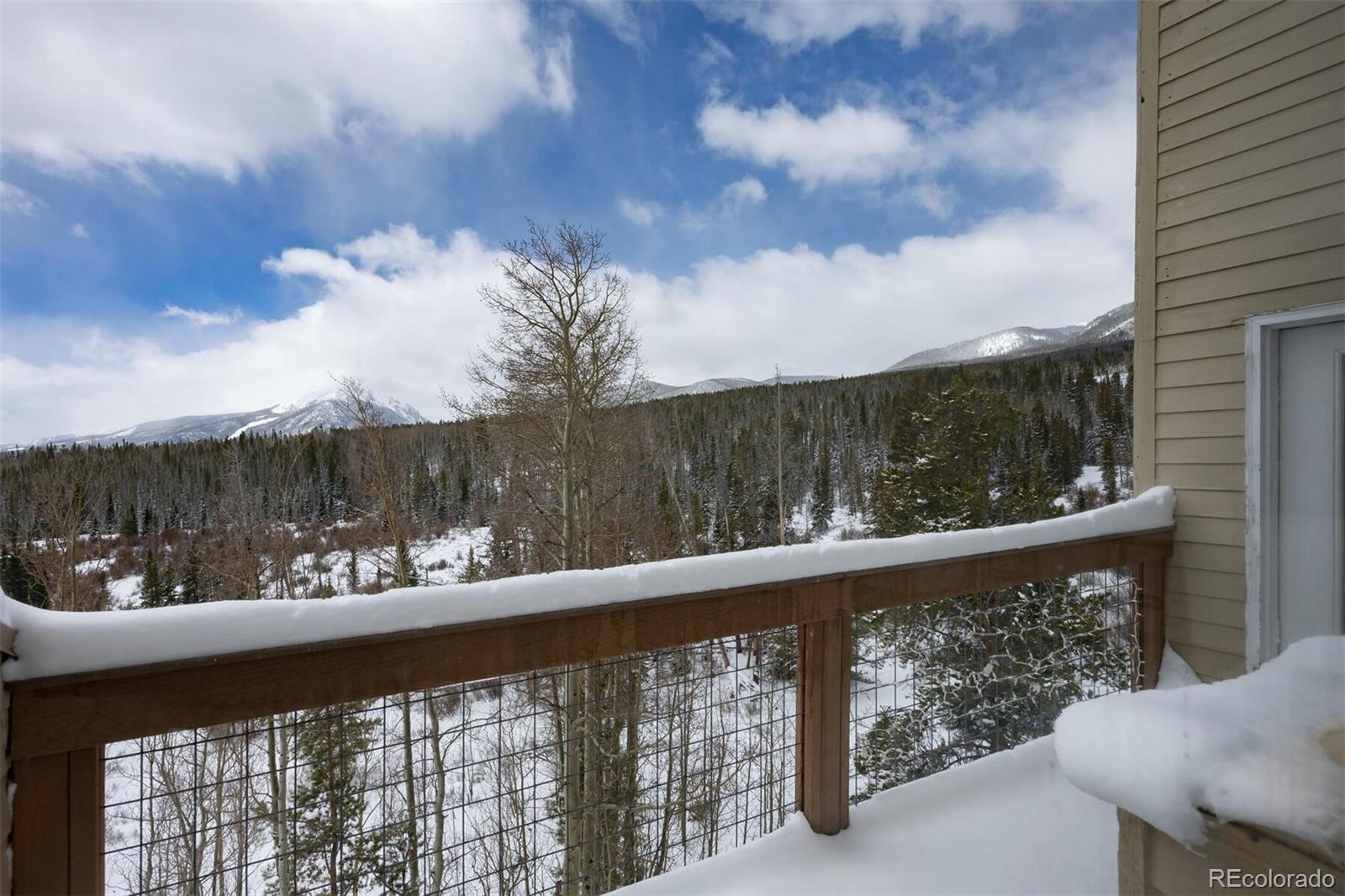 MLS Image #7 for 95100  ryan gulch road,silverthorne, Colorado