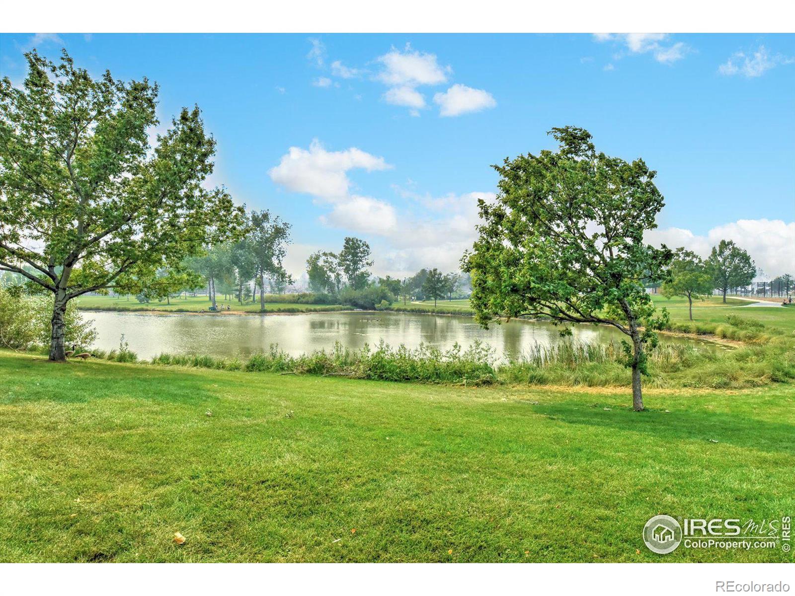 MLS Image #2 for 1036  deer creek lane,fort collins, Colorado