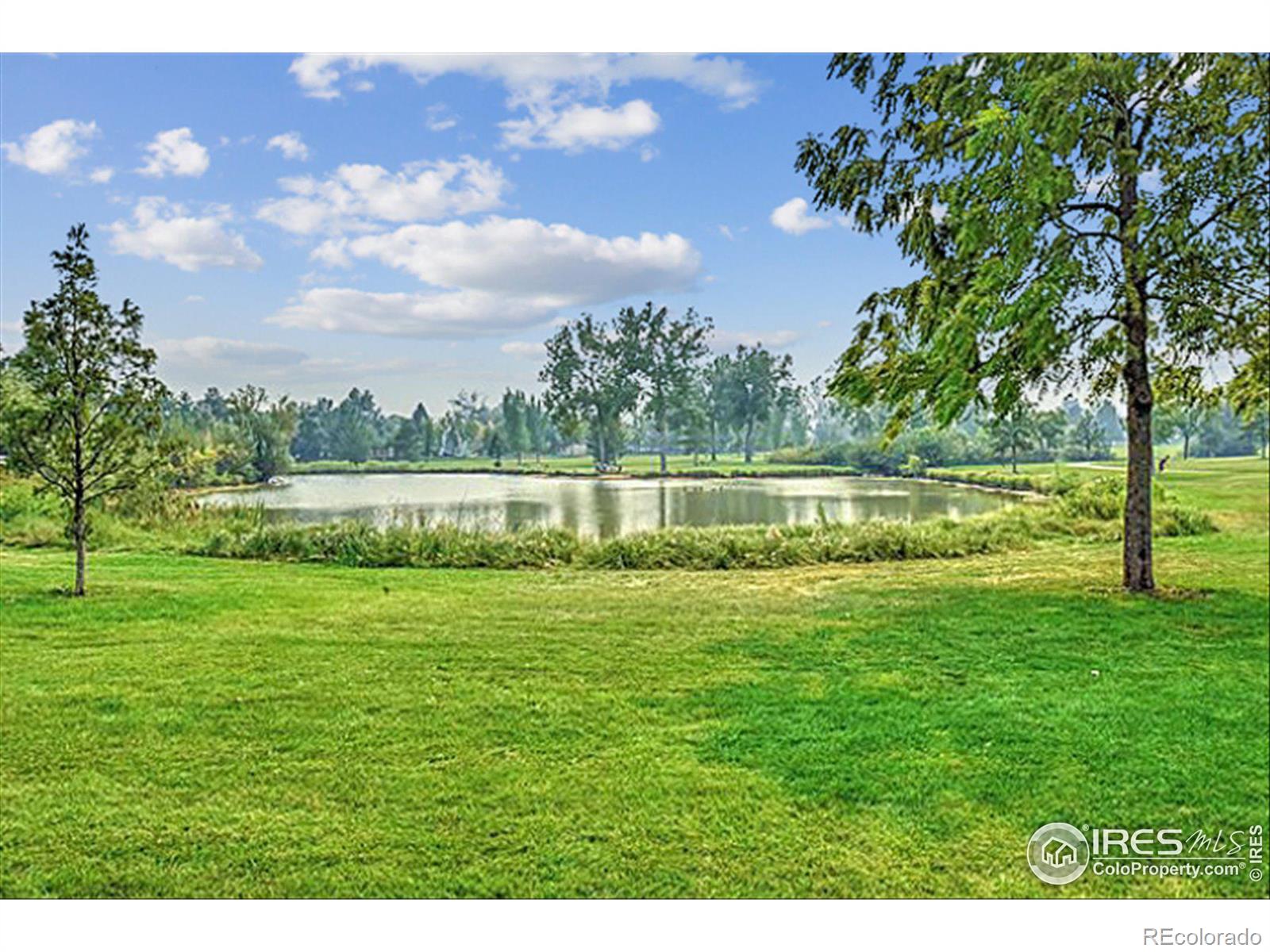 MLS Image #21 for 1036  deer creek lane,fort collins, Colorado