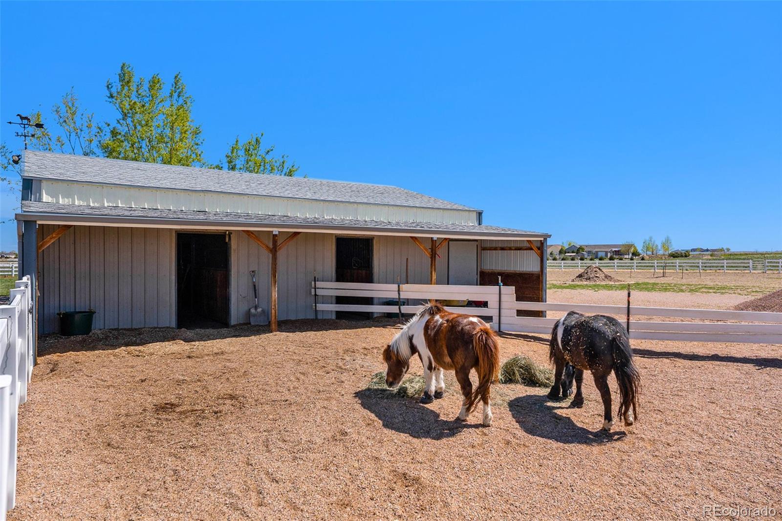 MLS Image #26 for 14440  shadow wood court,brighton, Colorado