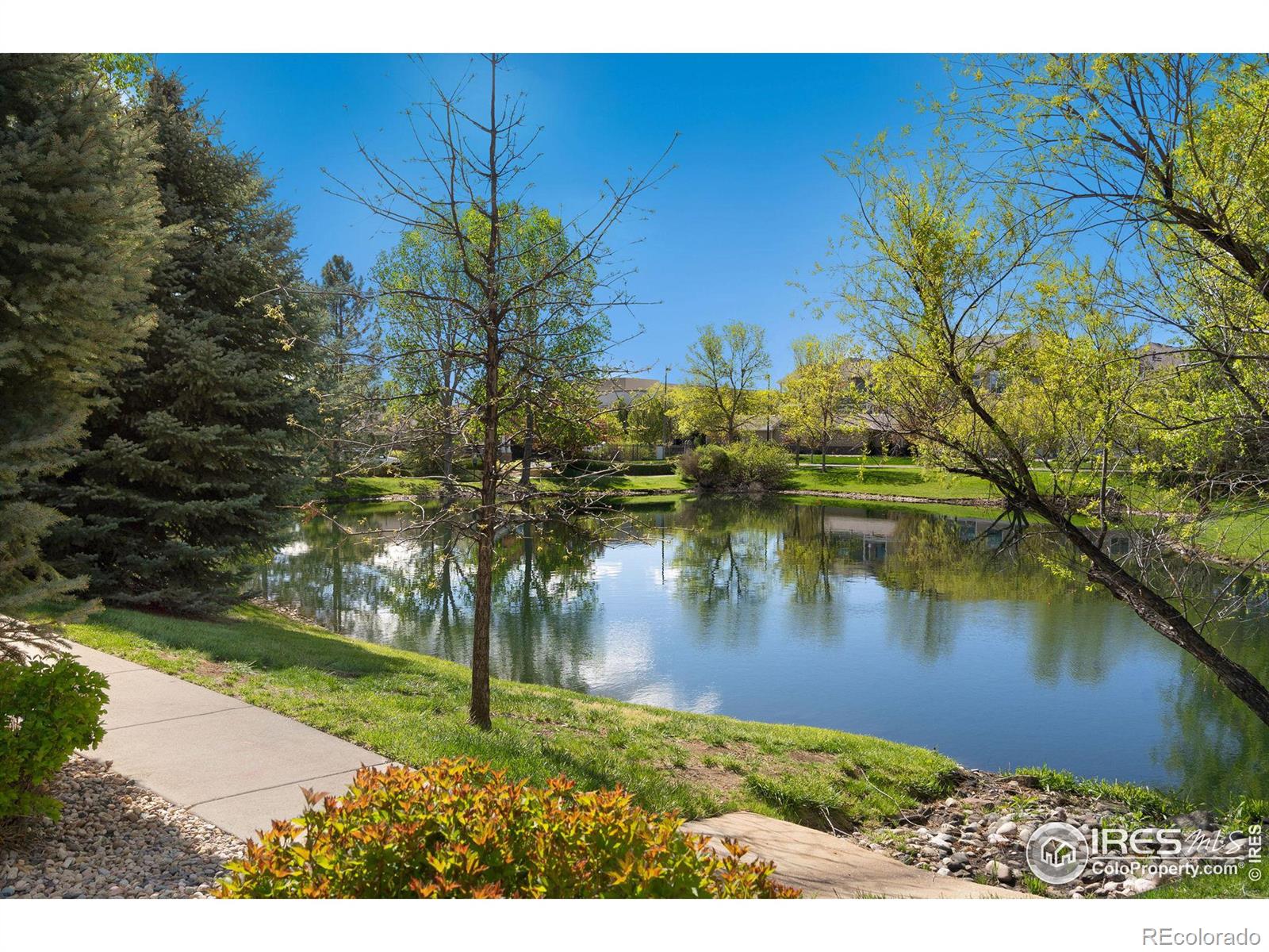 MLS Image #20 for 4755  hahns peak drive,loveland, Colorado