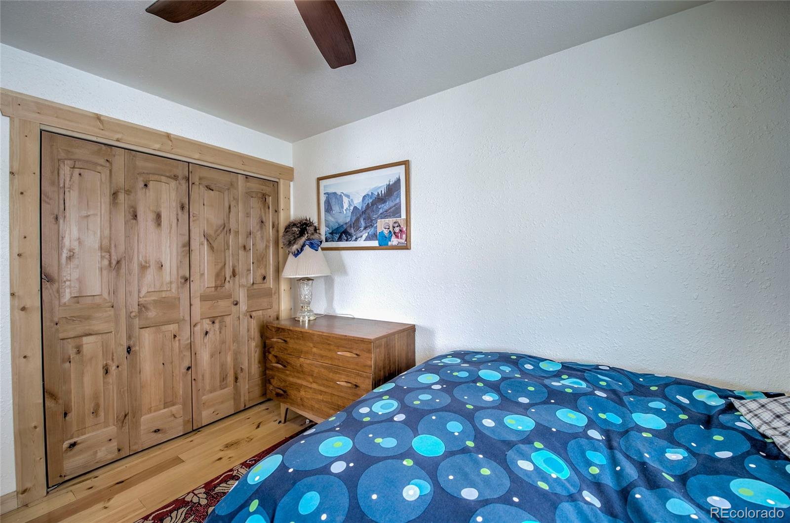 MLS Image #14 for 1620 s trout road,fairplay, Colorado