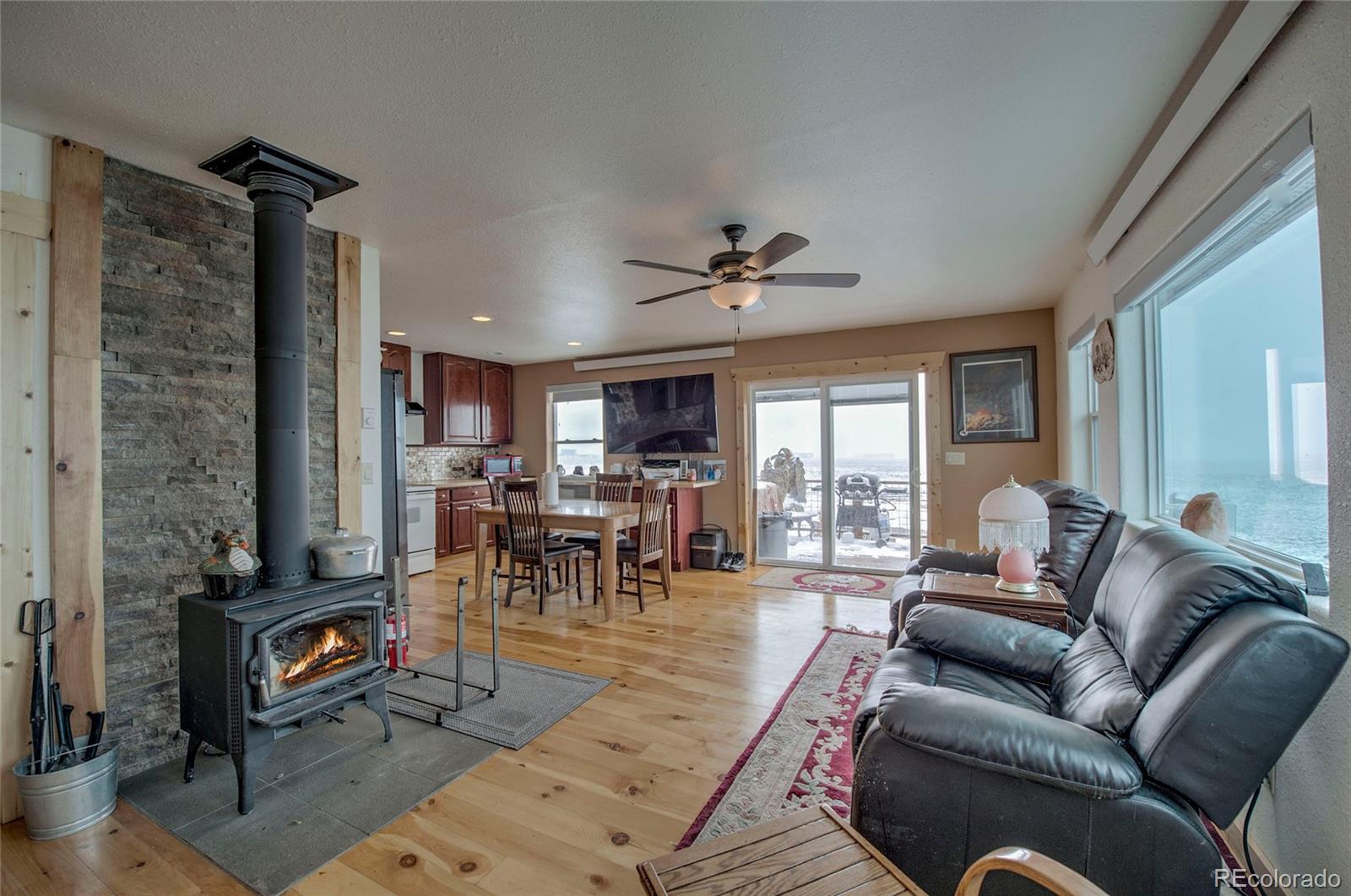 MLS Image #6 for 1620 s trout road,fairplay, Colorado