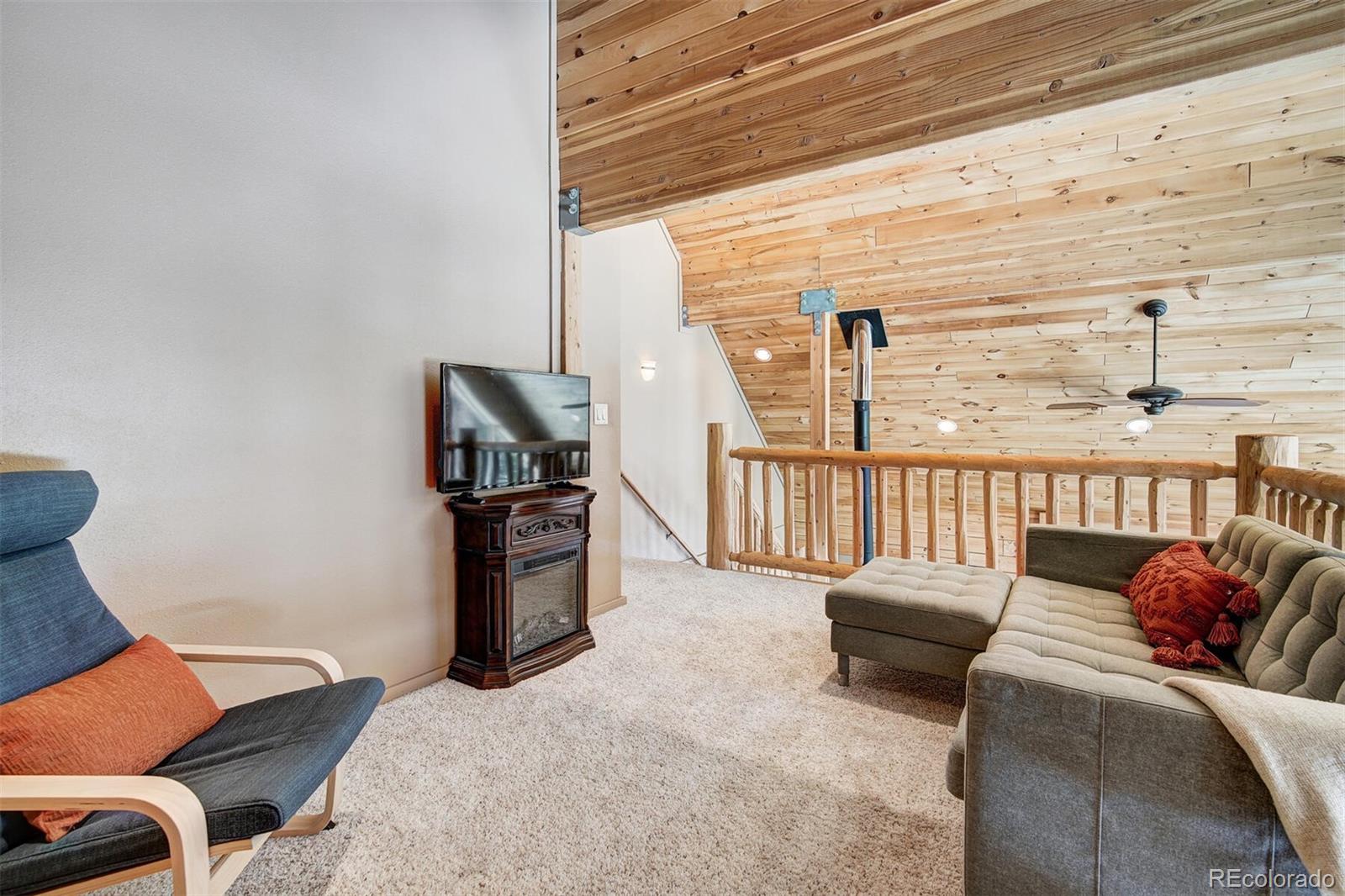 MLS Image #15 for 2795  quartzville road,alma, Colorado