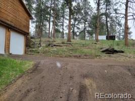 MLS Image #49 for 201  bluebird drive,bailey, Colorado