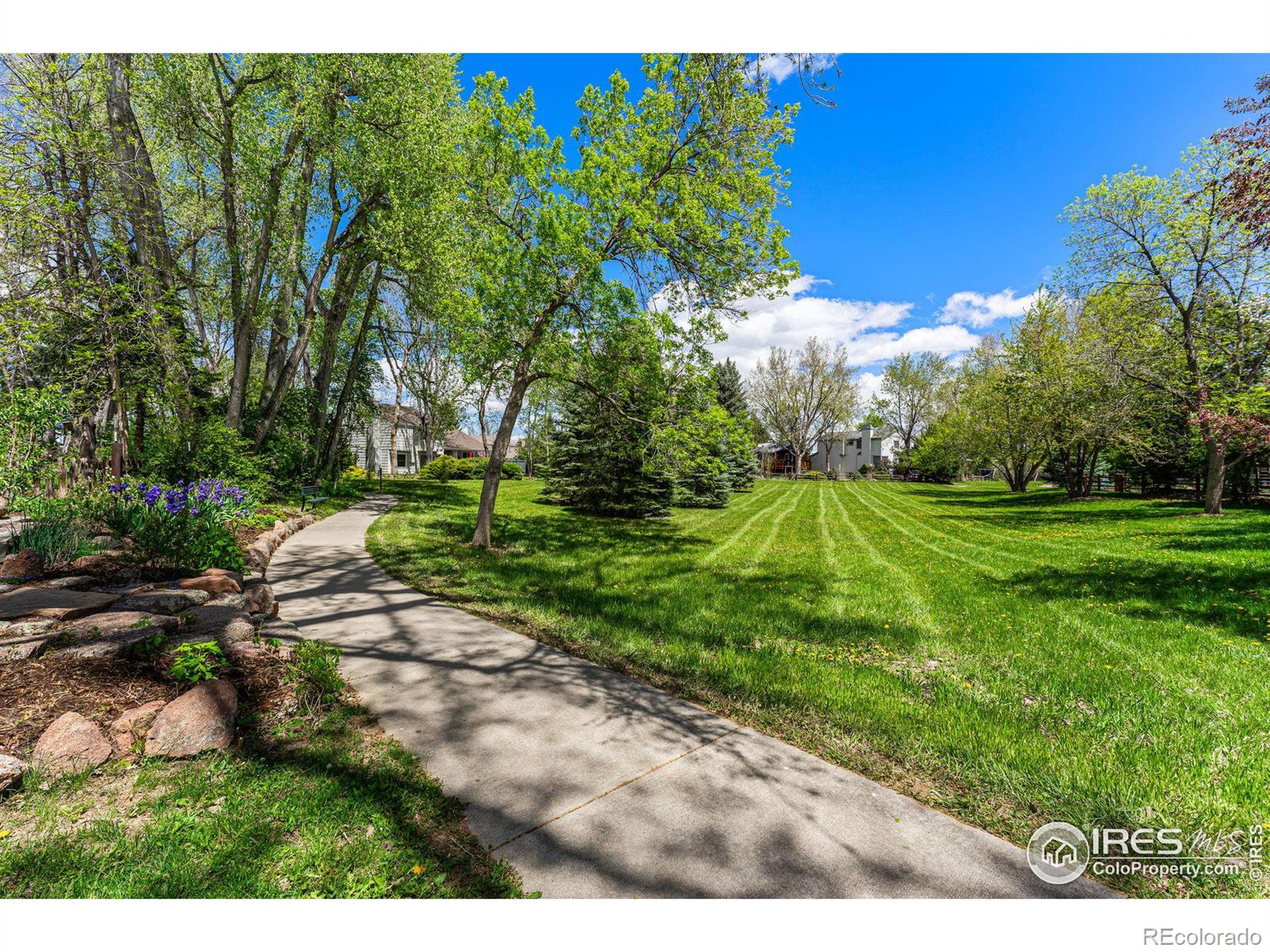 MLS Image #26 for 7320  dry creek road,niwot, Colorado