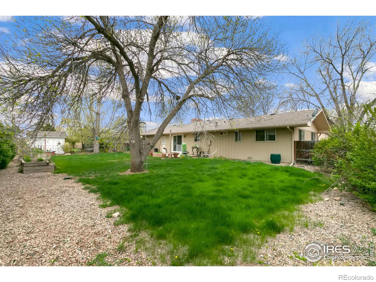 MLS Image #16 for 802  clifford avenue,fort collins, Colorado