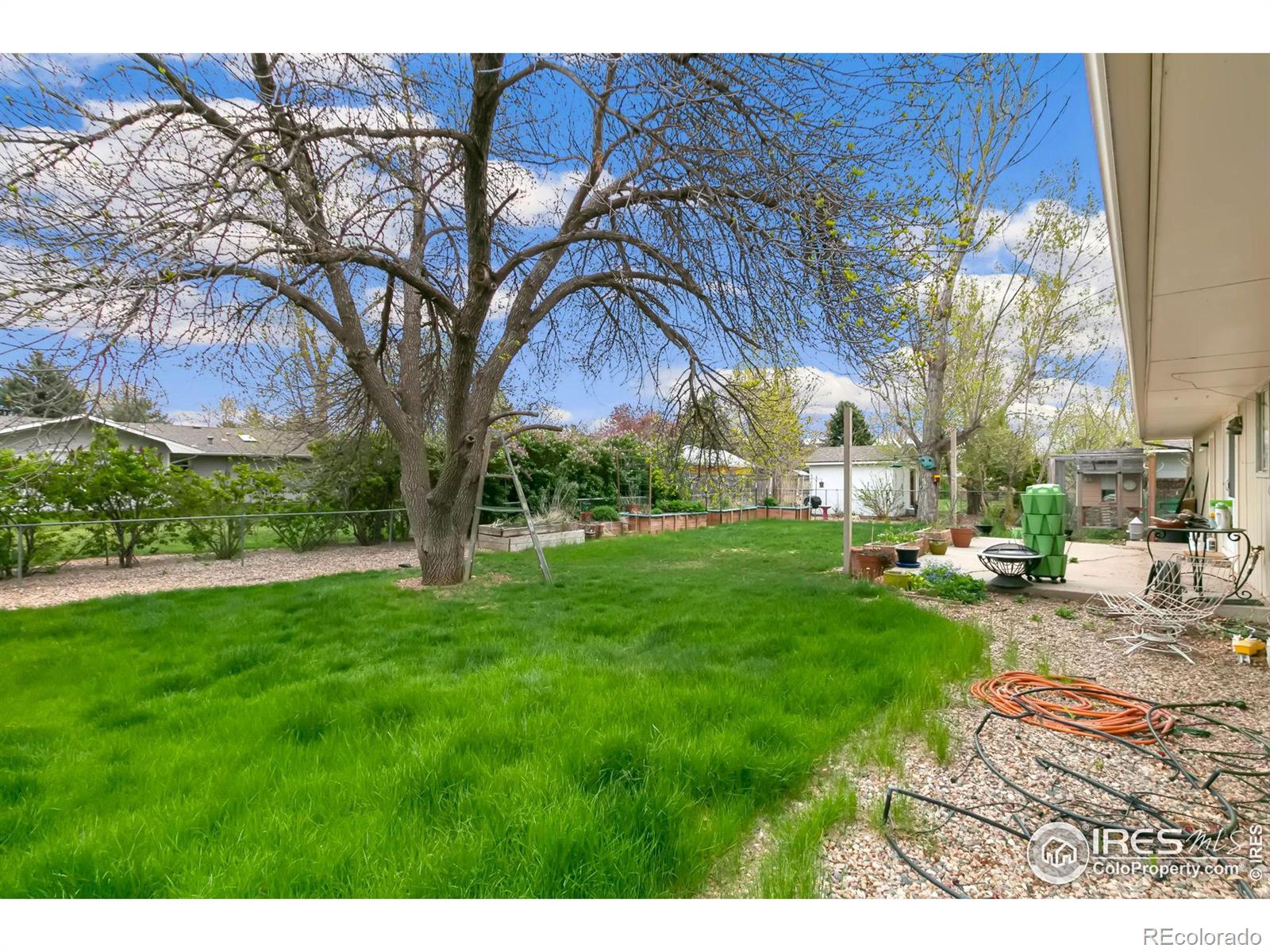 MLS Image #17 for 802  clifford avenue,fort collins, Colorado