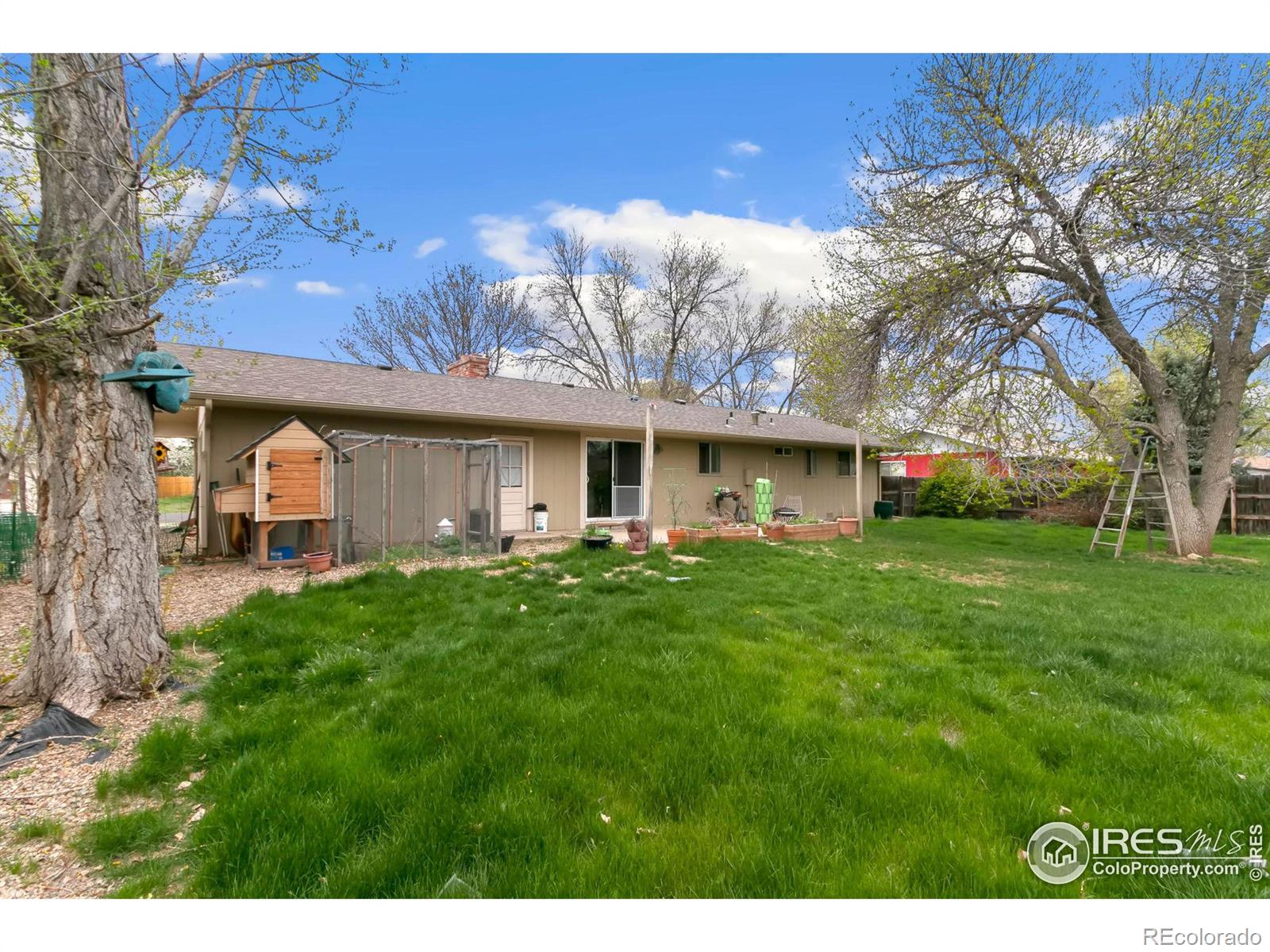 MLS Image #18 for 802  clifford avenue,fort collins, Colorado