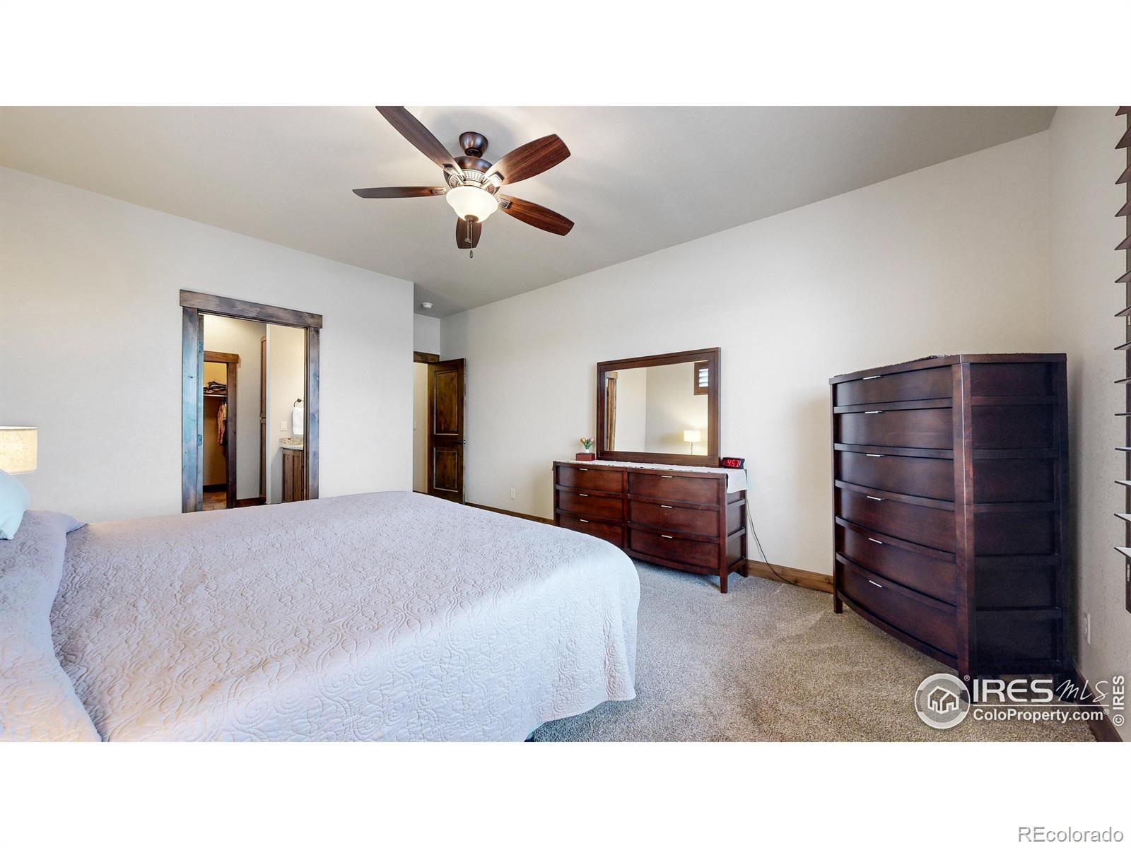 MLS Image #20 for 529  vermilion peak drive,windsor, Colorado