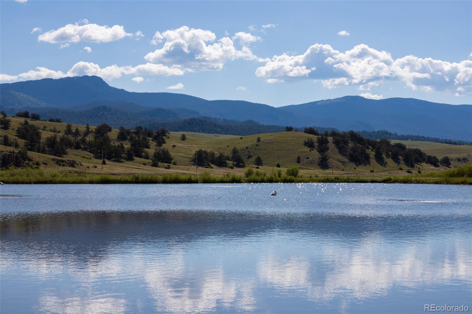 MLS Image #43 for 137  outlaw court,jefferson, Colorado