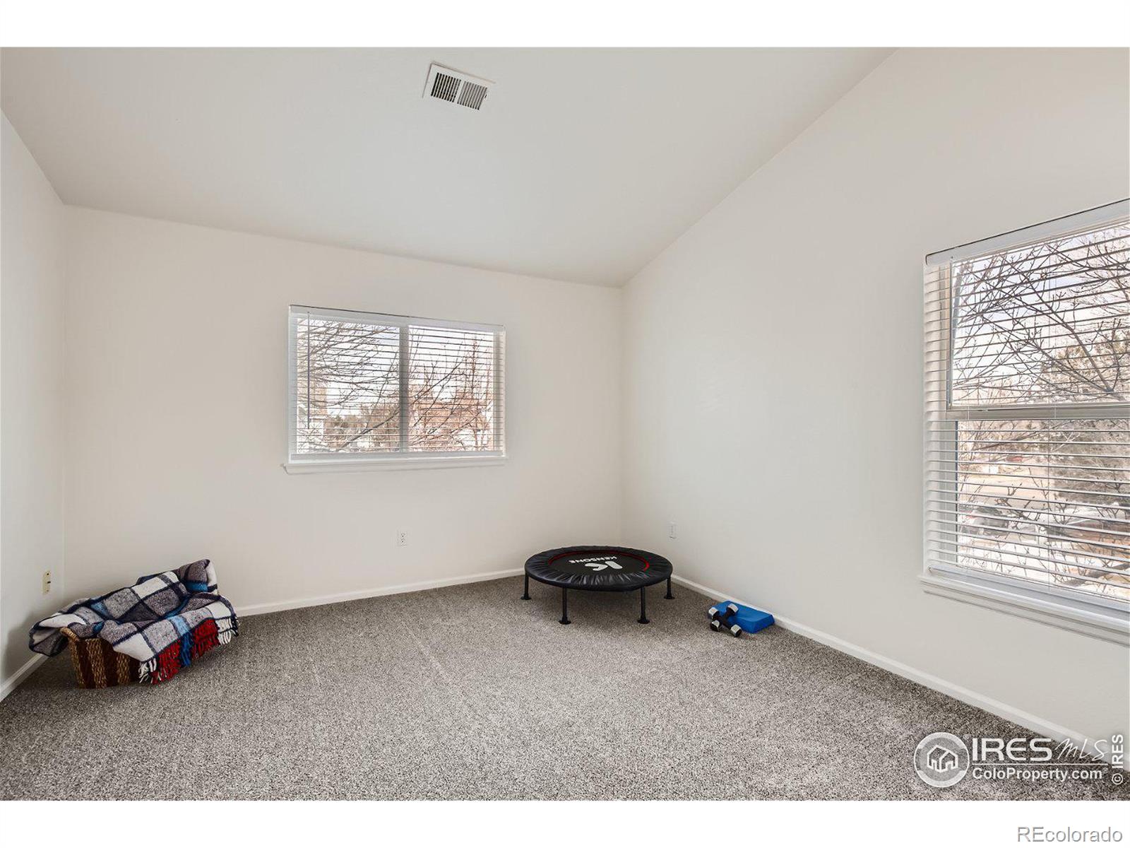 MLS Image #17 for 2301  water cress court,longmont, Colorado