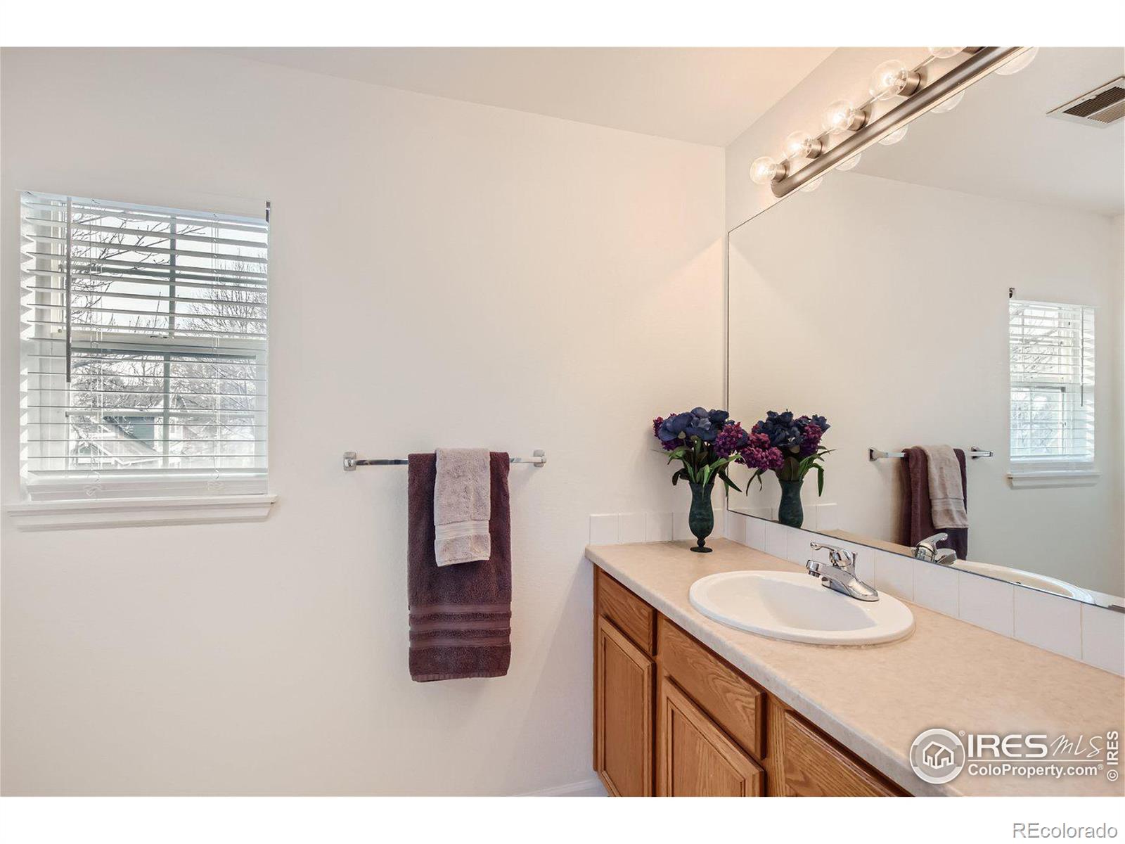 MLS Image #19 for 2301  water cress court,longmont, Colorado